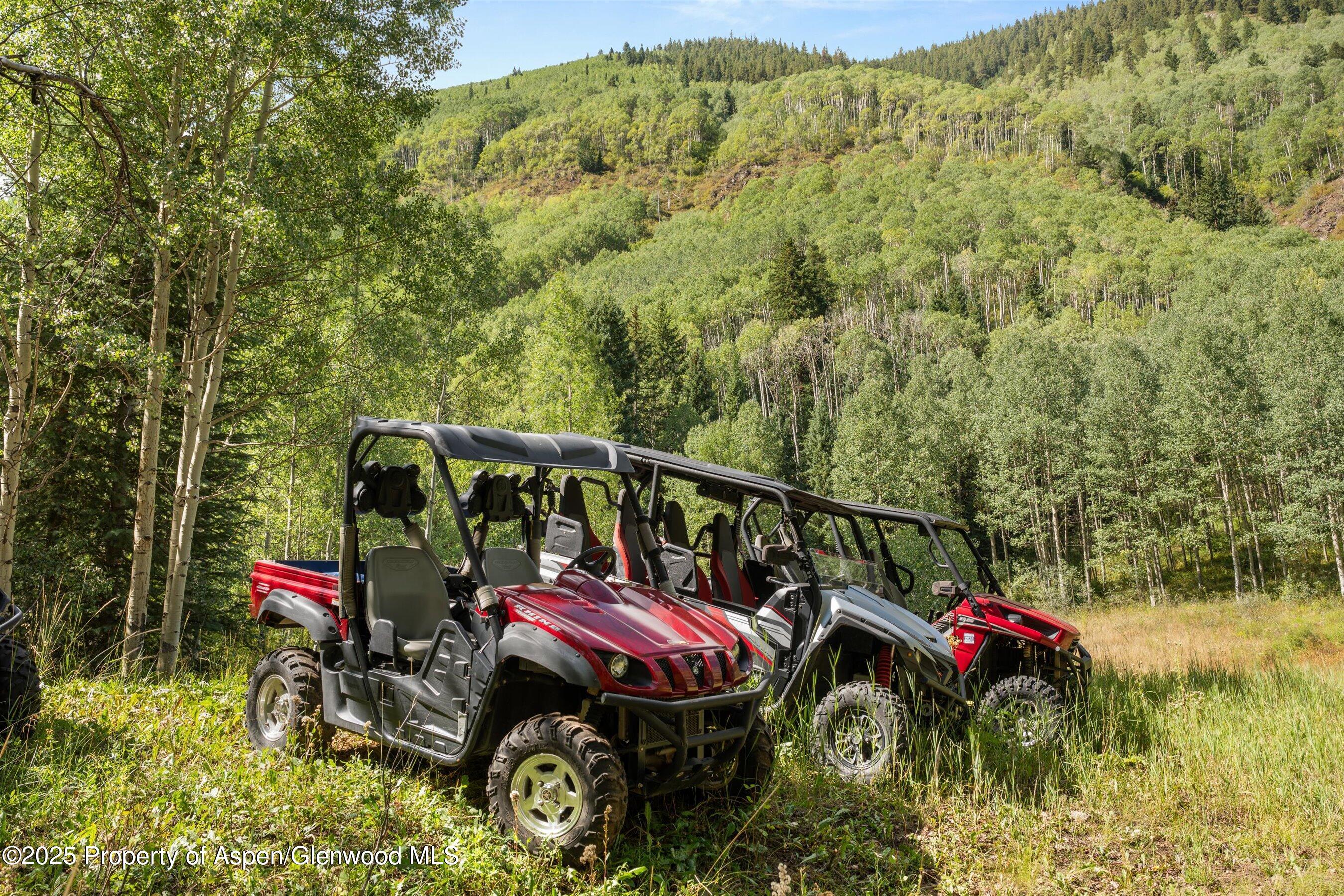 9555 Castle Creek Road Aspen CO 81611