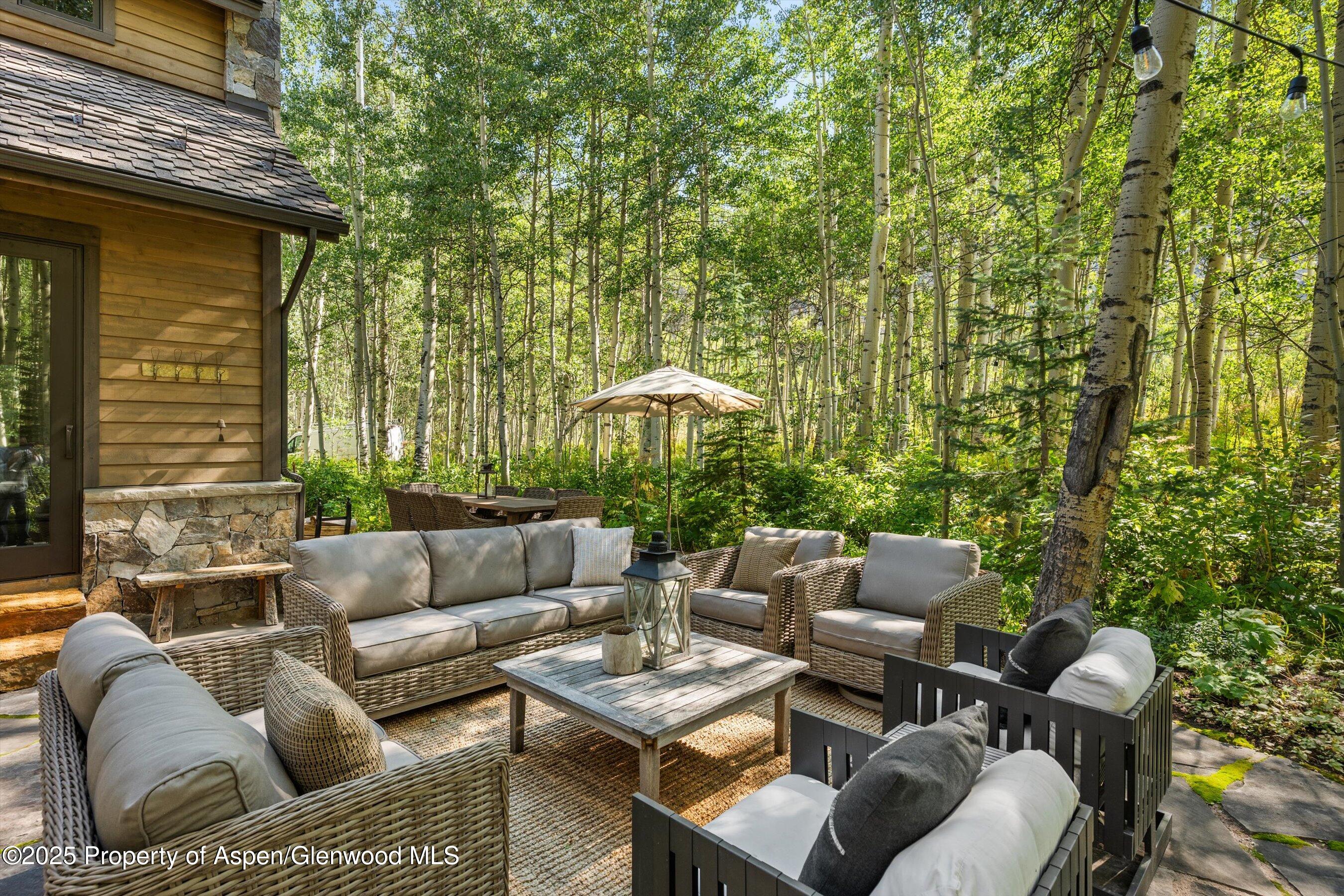 9555 Castle Creek Road Aspen CO 81611