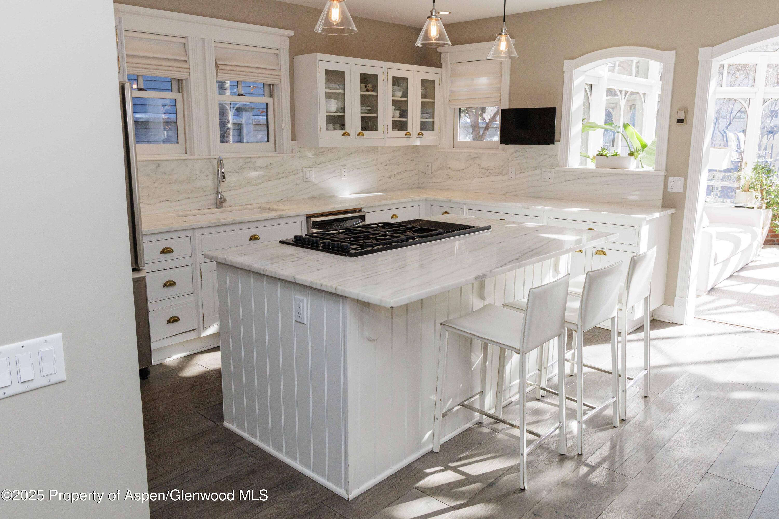 229 W Hallam Street Aspen CO 81611