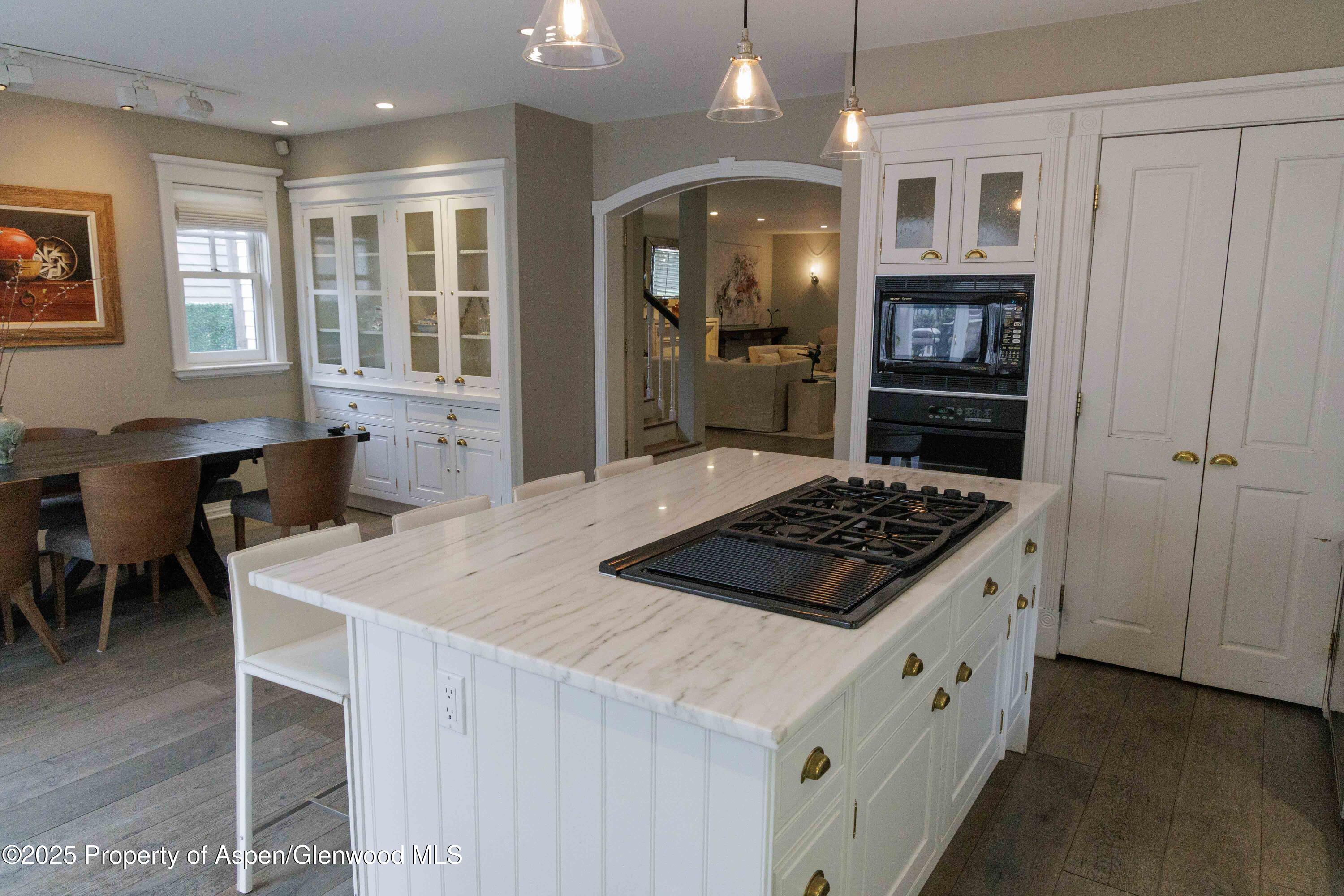 229 W Hallam Street Aspen CO 81611