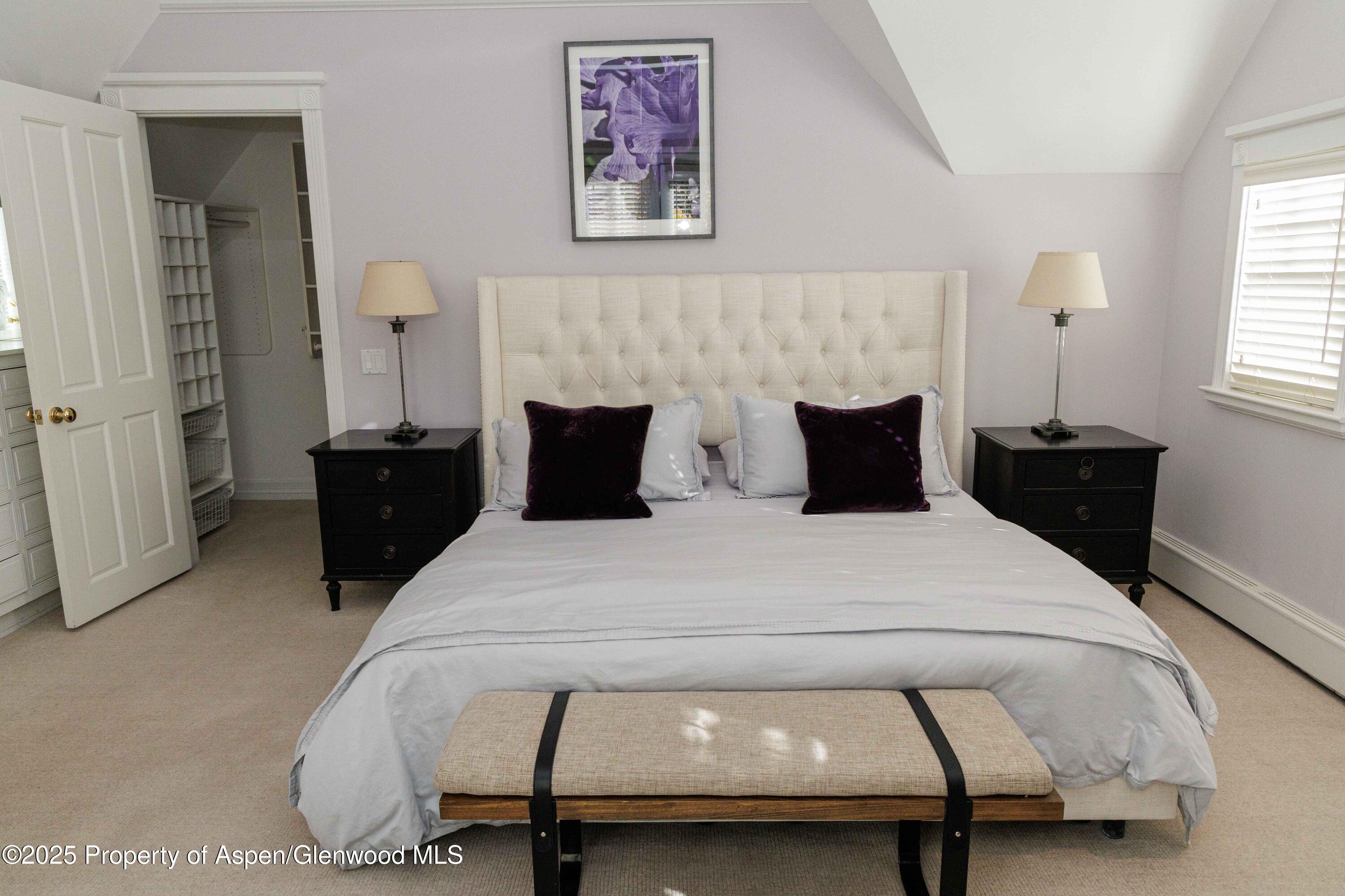 229 W Hallam Street Aspen CO 81611