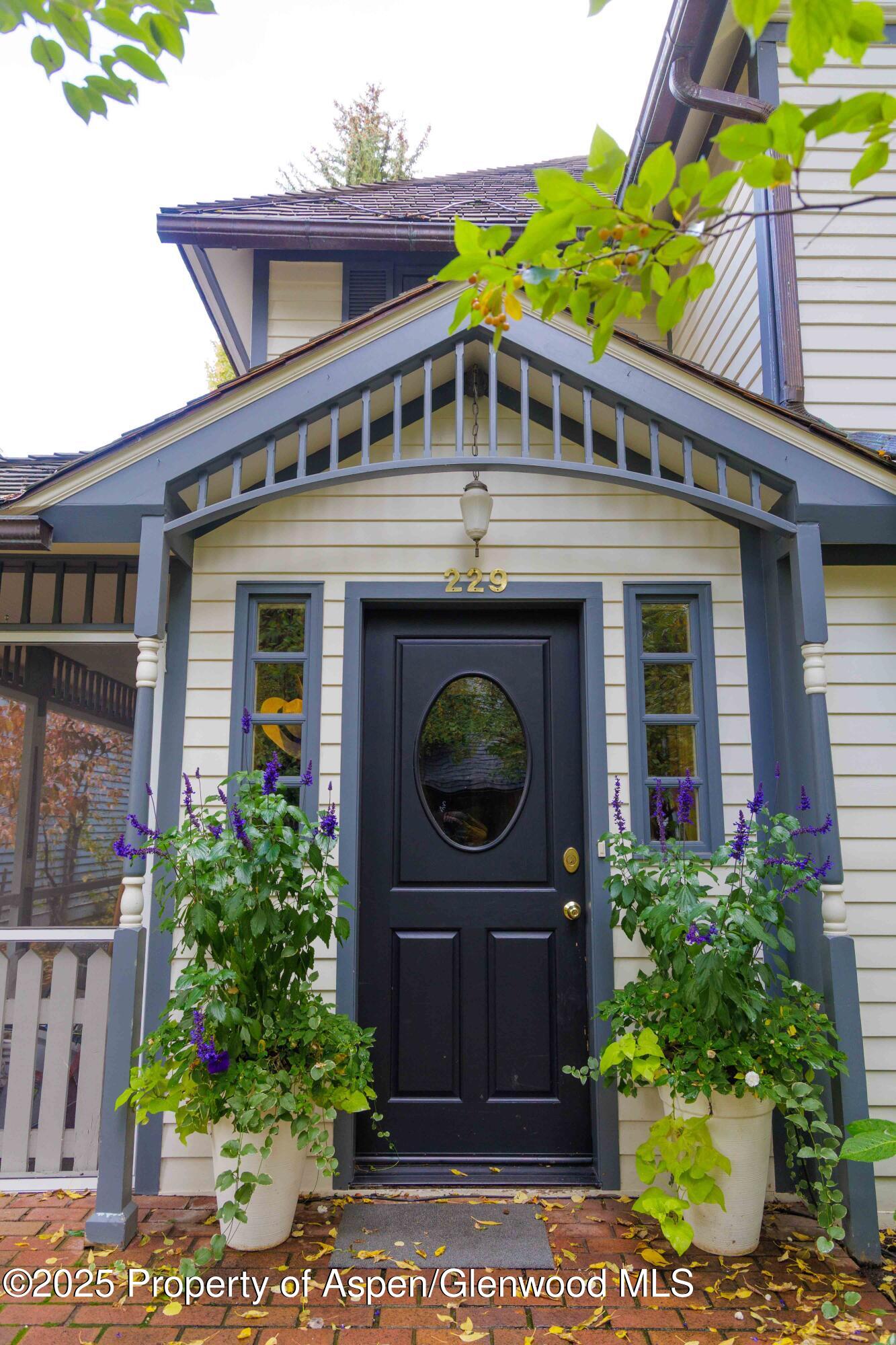 229 W Hallam Street Aspen CO 81611