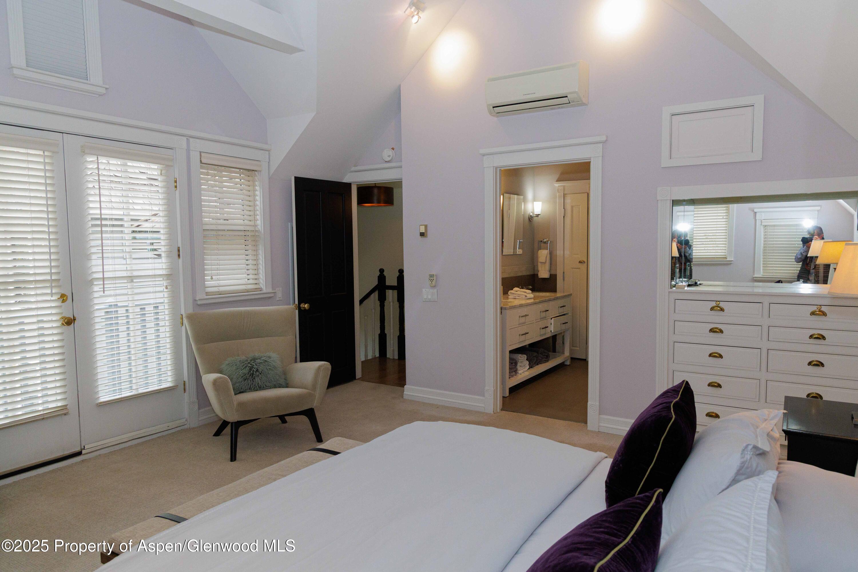 229 W Hallam Street Aspen CO 81611