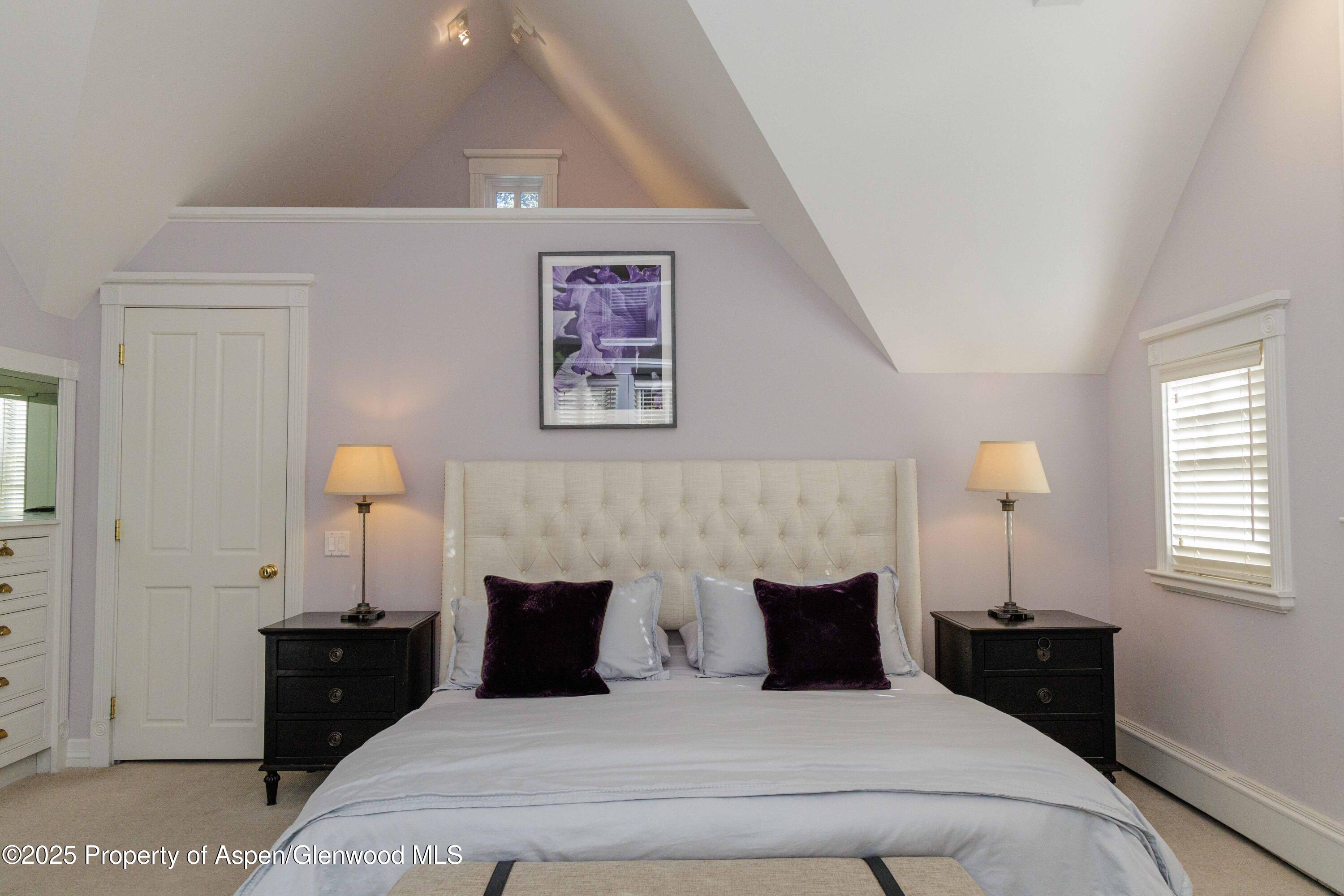 229 W Hallam Street Aspen CO 81611