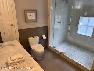 229 W Hallam Street Aspen CO 81611