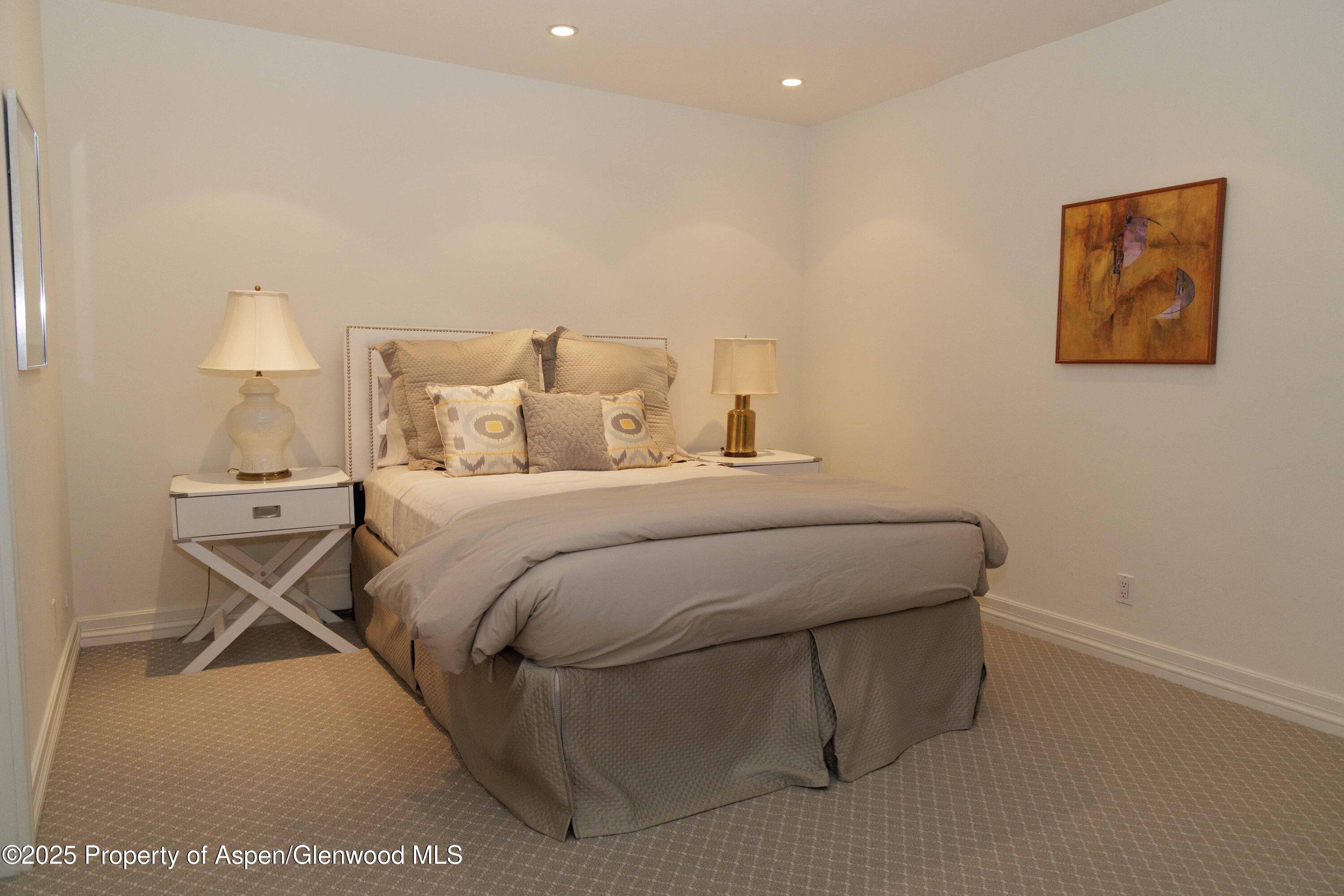 229 W Hallam Street Aspen CO 81611