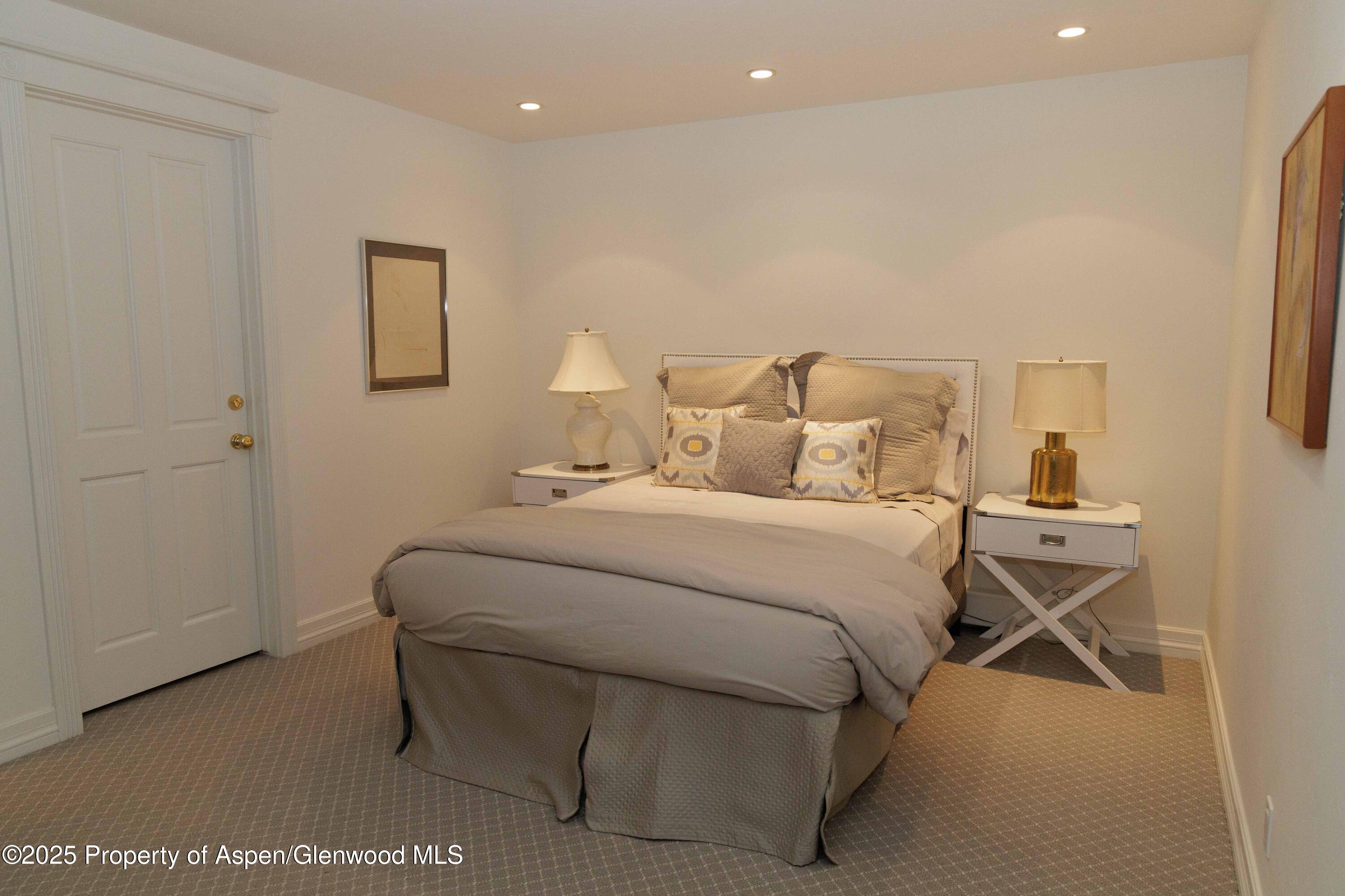 229 W Hallam Street Aspen CO 81611