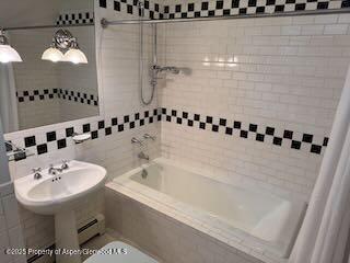 229 W Hallam Street Aspen CO 81611