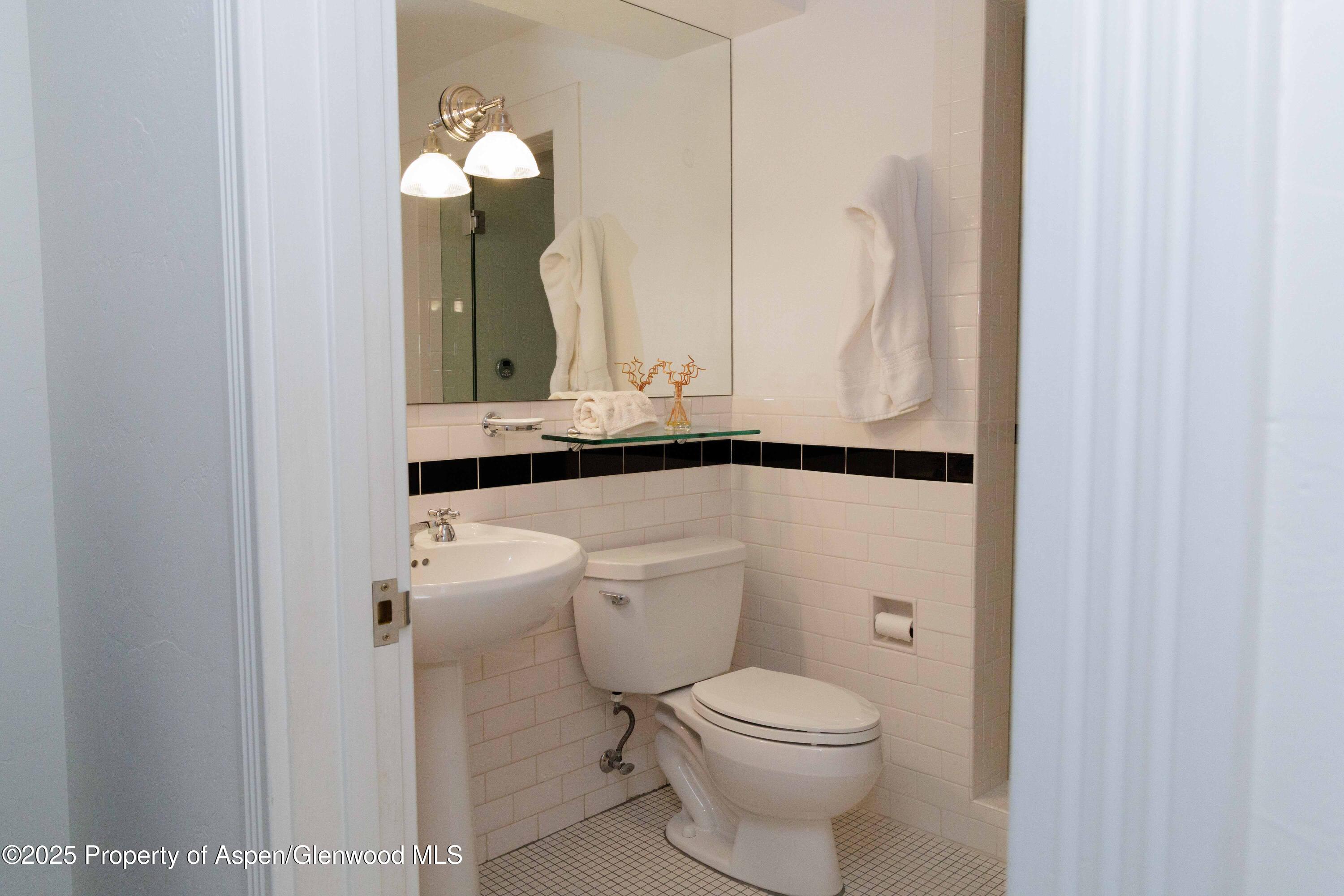 229 W Hallam Street Aspen CO 81611