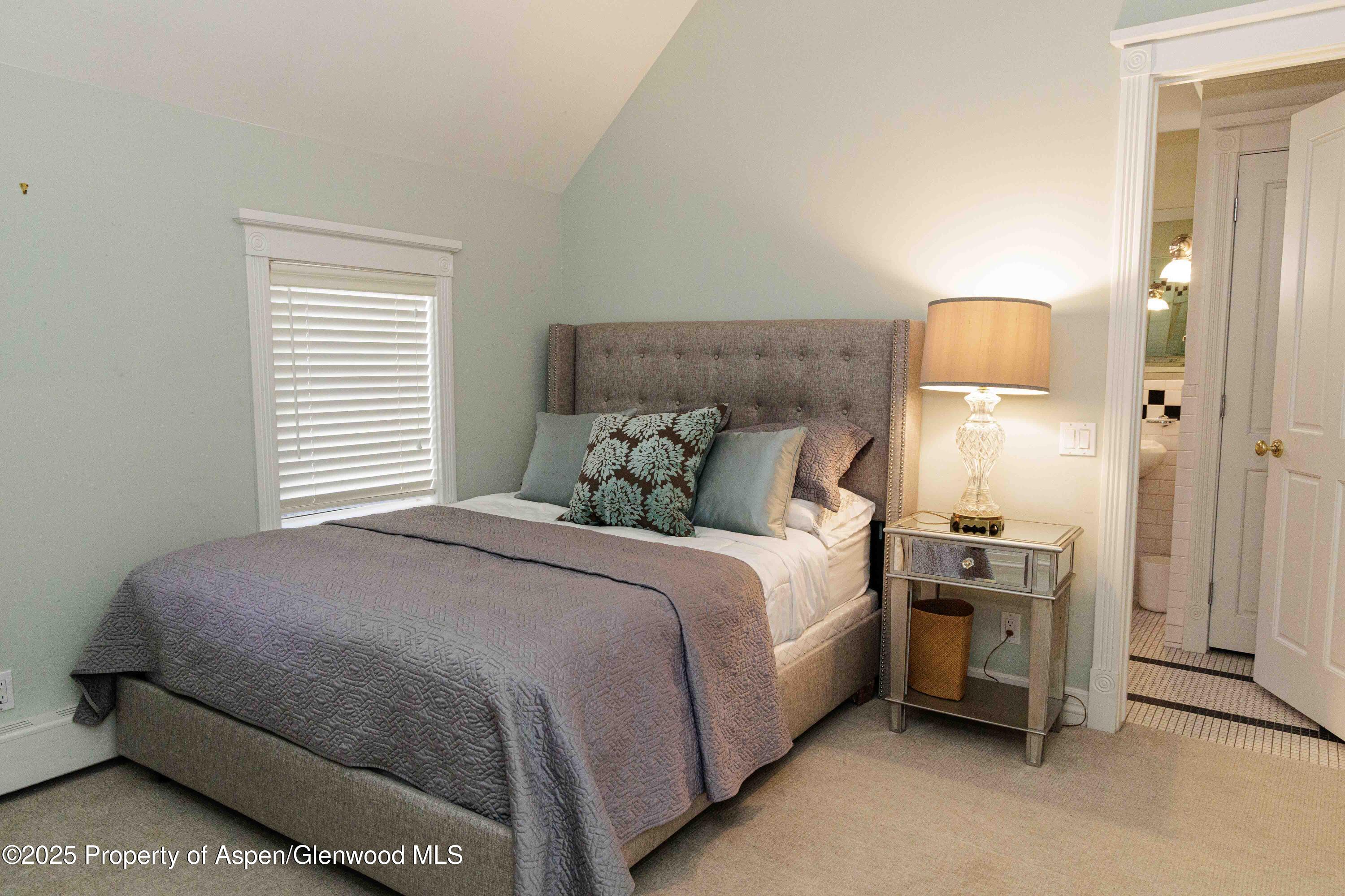 229 W Hallam Street Aspen CO 81611