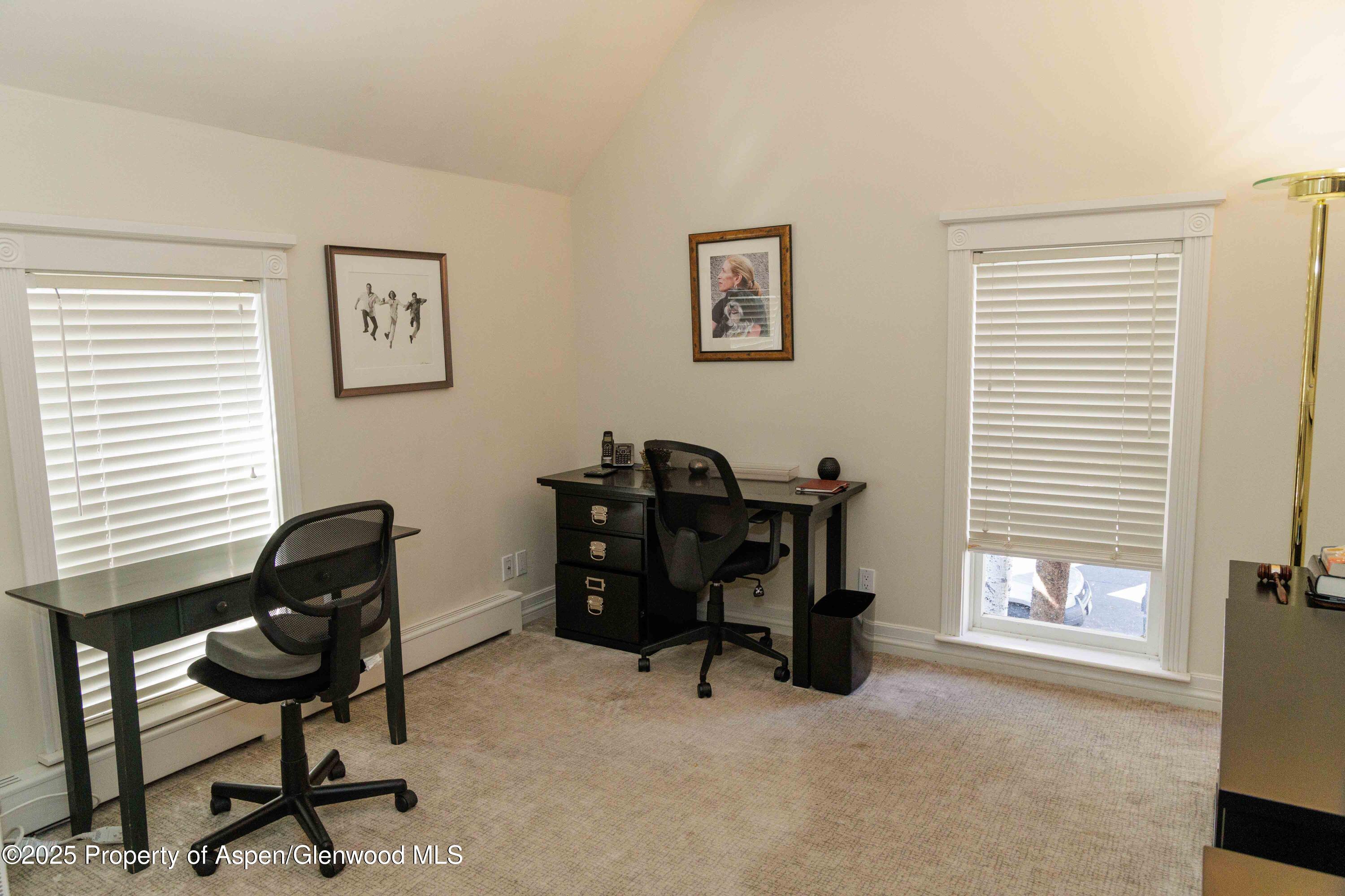 229 W Hallam Street Aspen CO 81611