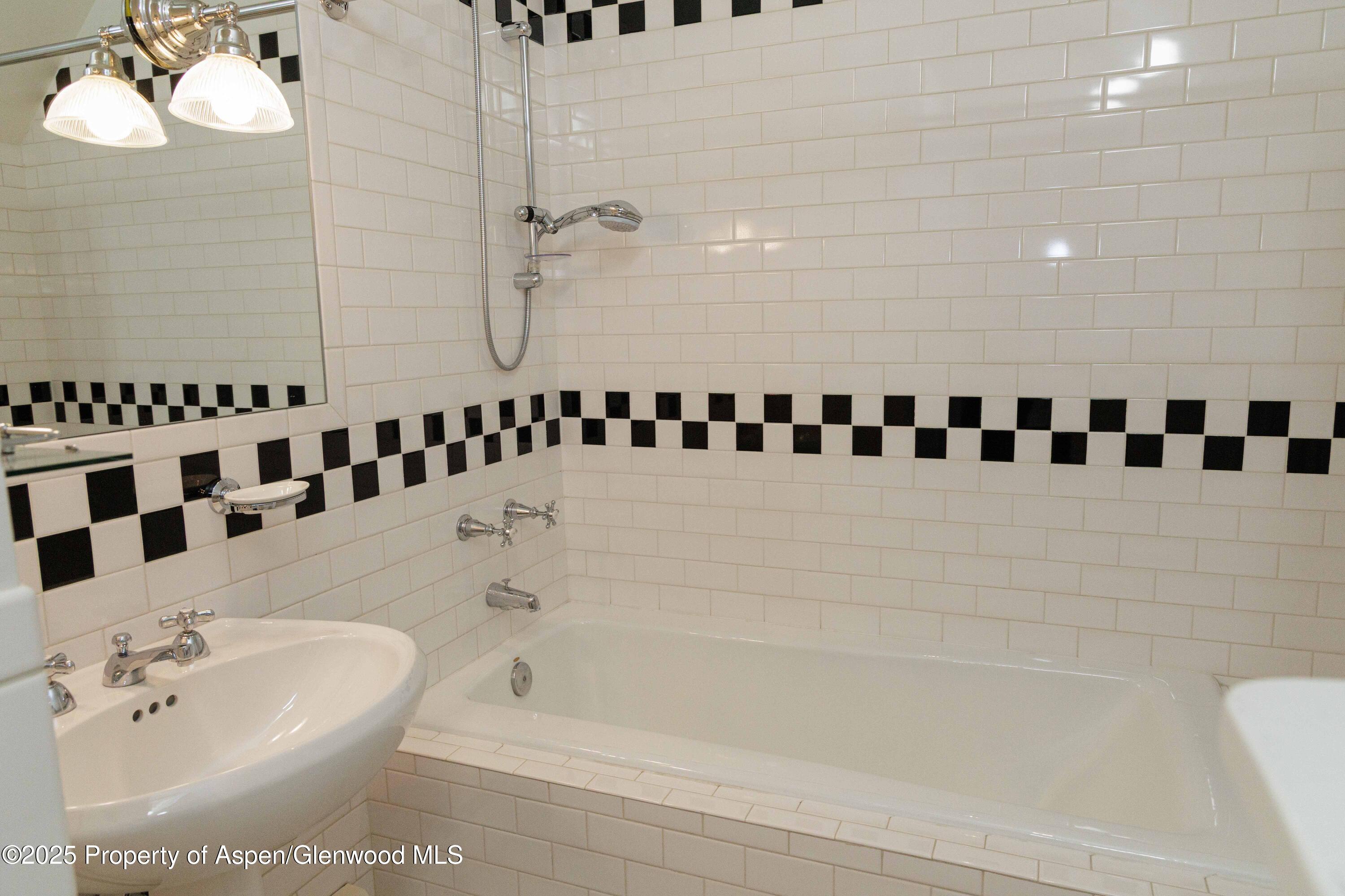 229 W Hallam Street Aspen CO 81611