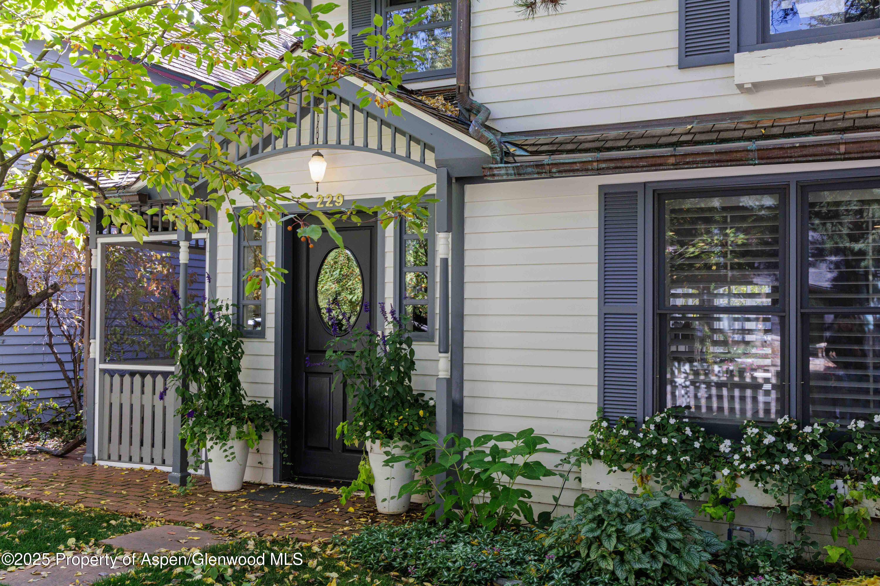 229 W Hallam Street Aspen CO 81611