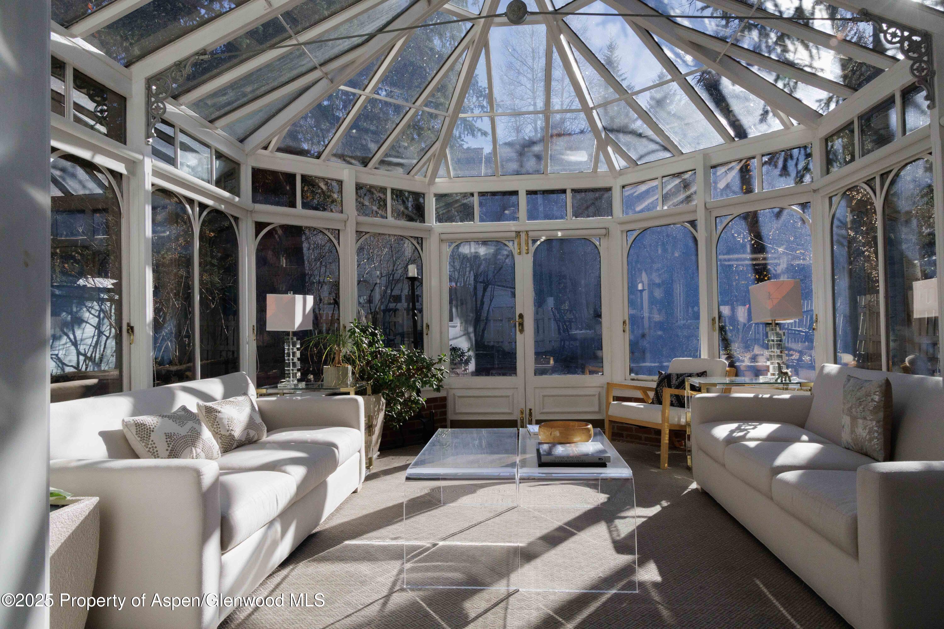 229 W Hallam Street Aspen CO 81611