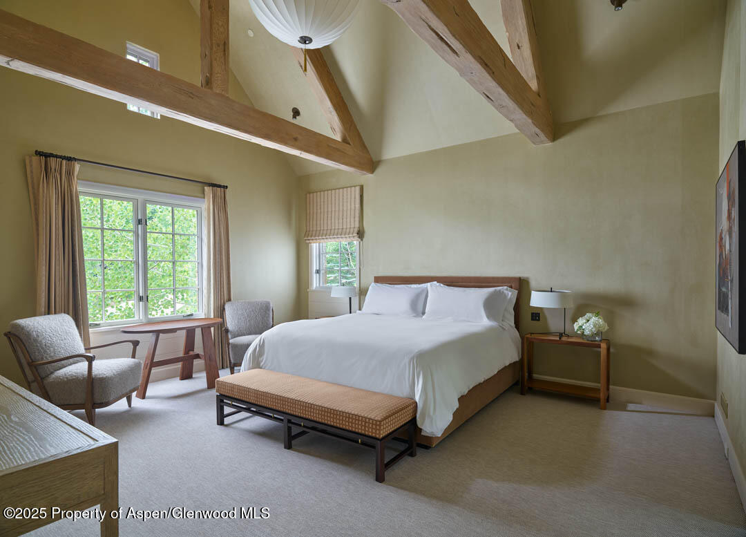 864 Moore Drive Aspen CO 81611