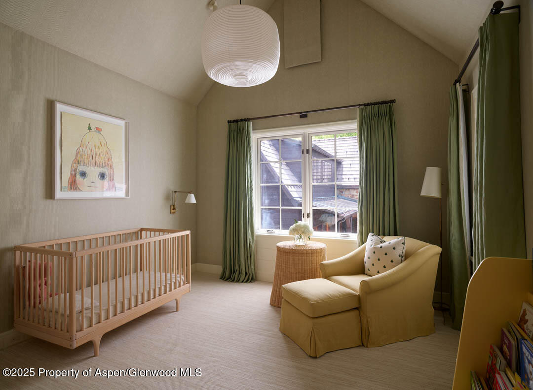 864 Moore Drive Aspen CO 81611