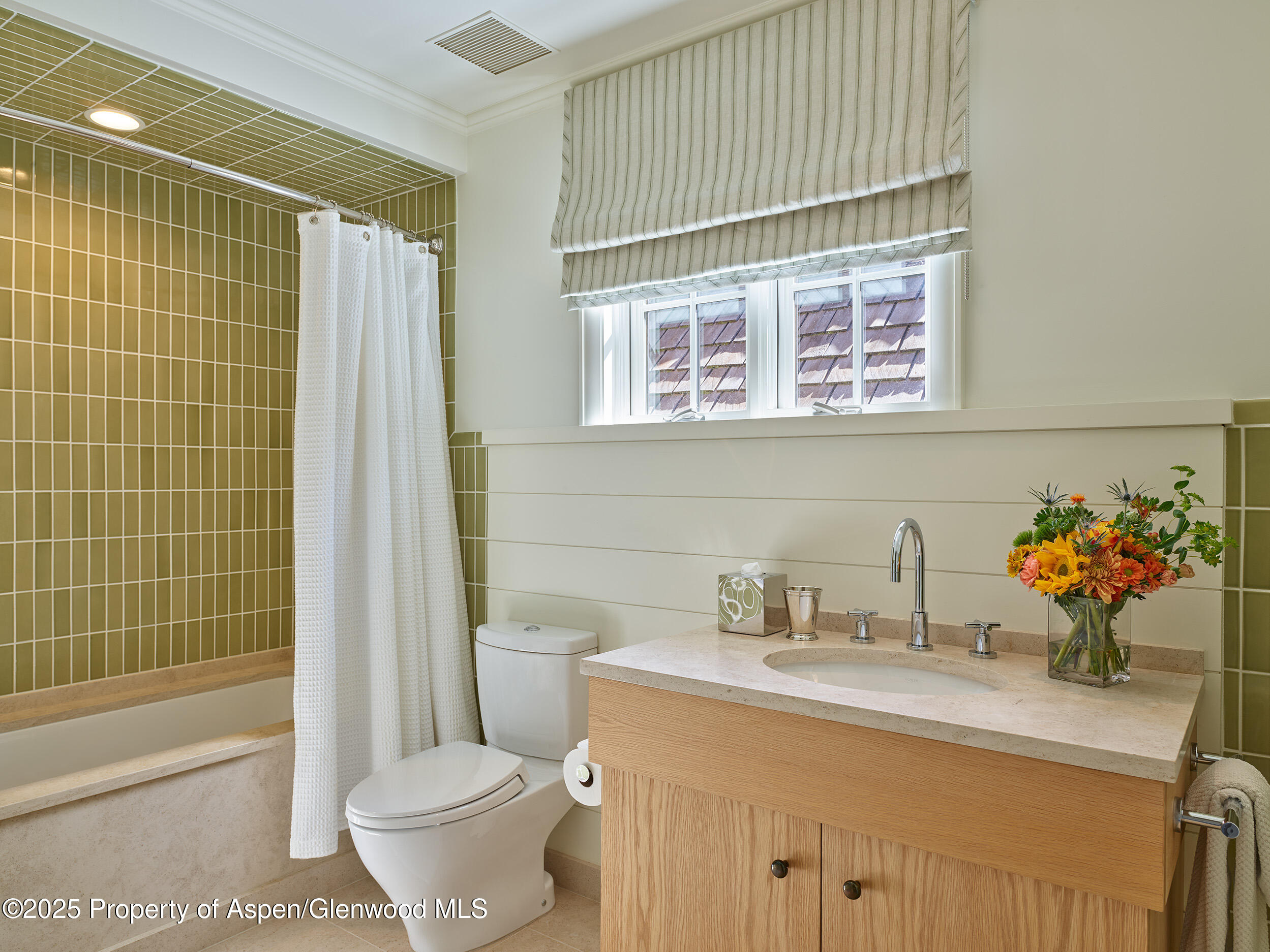 864 Moore Drive Aspen CO 81611