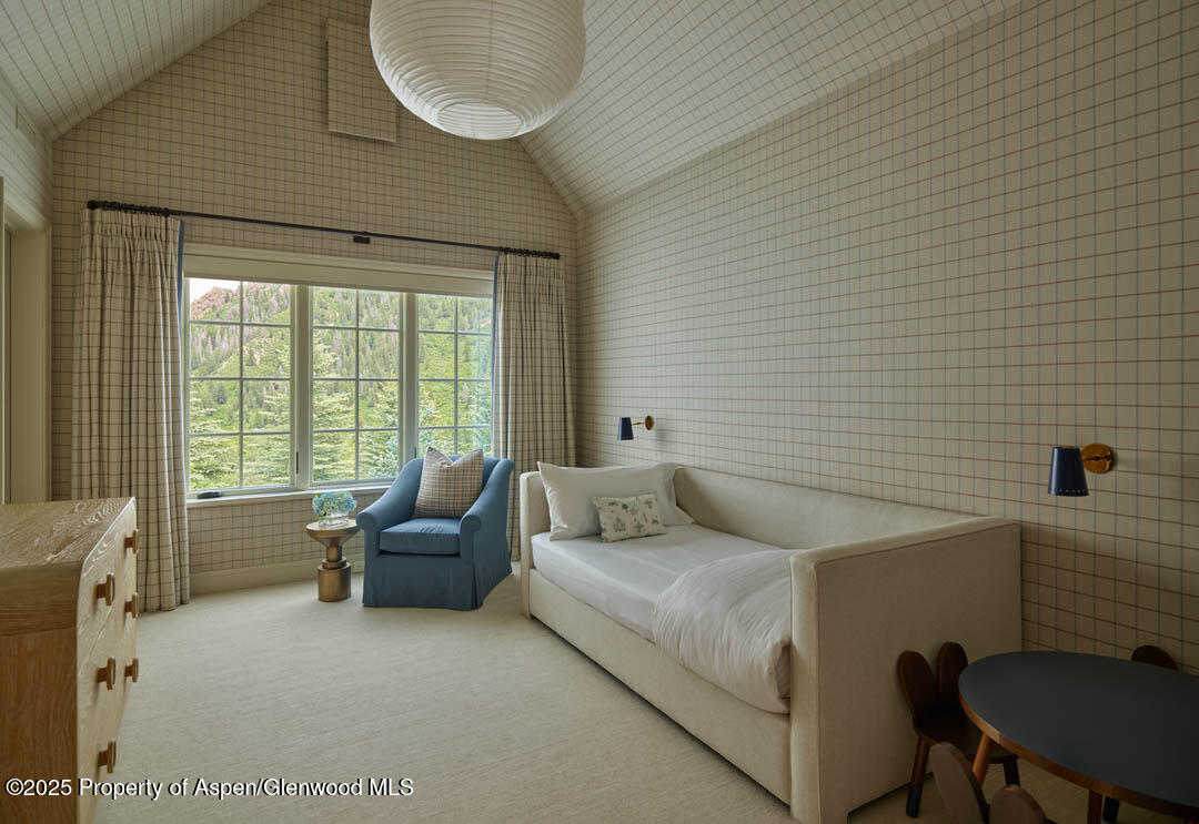 864 Moore Drive Aspen CO 81611