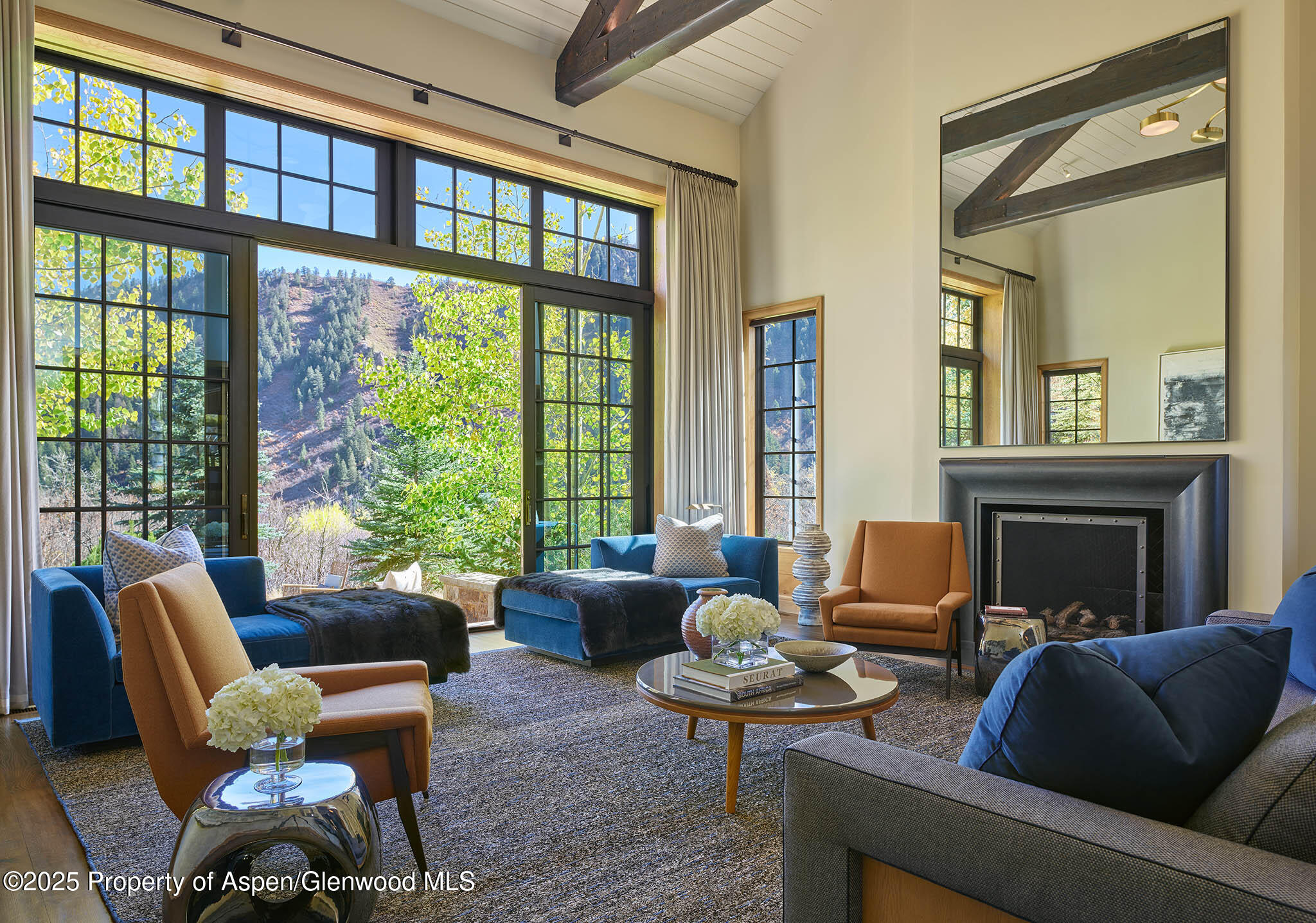 864 Moore Drive Aspen CO 81611