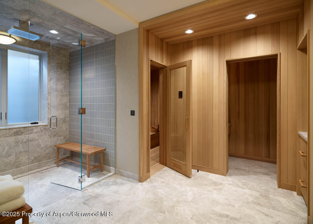 864 Moore Drive Aspen CO 81611