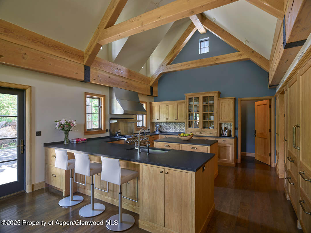 864 Moore Drive Aspen CO 81611