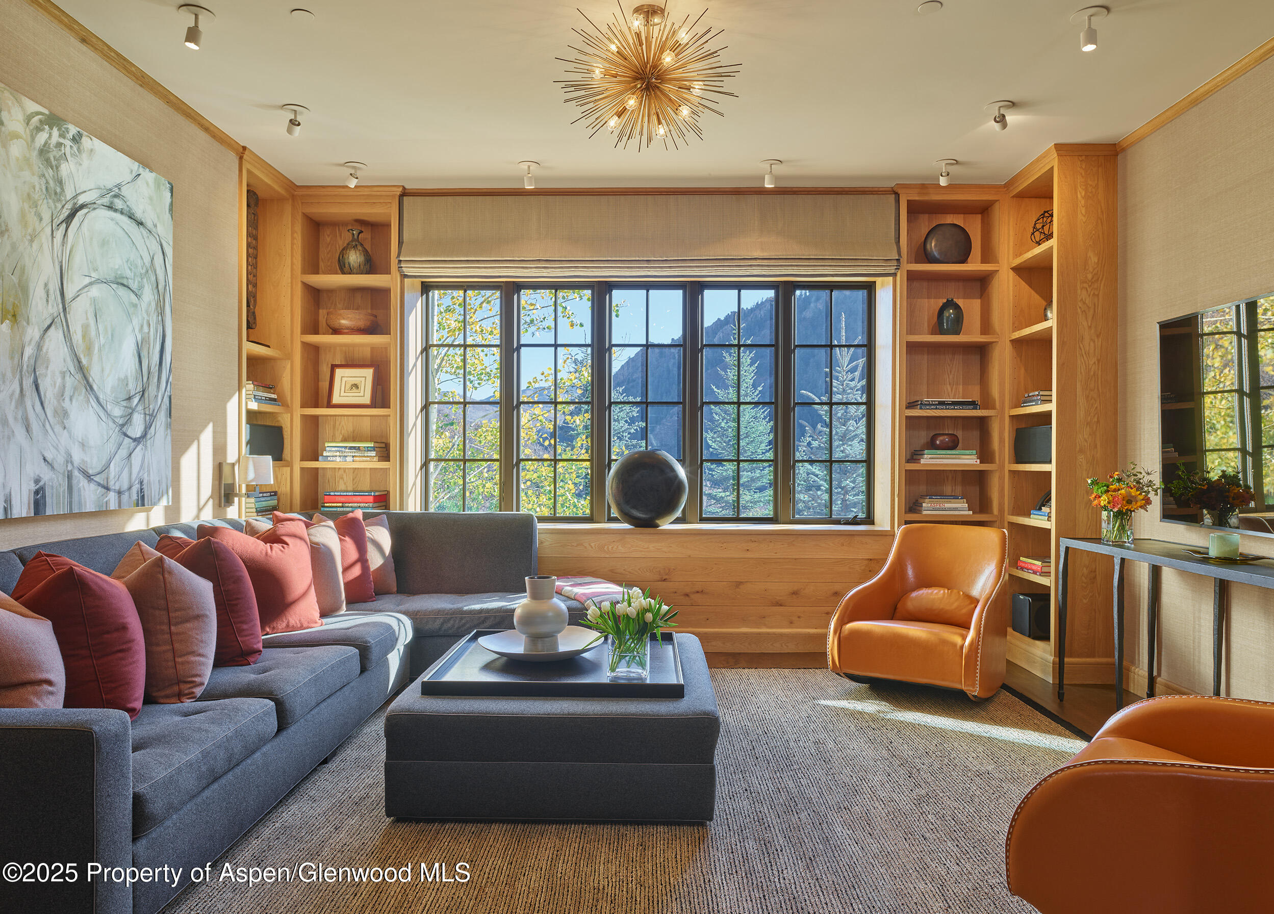 864 Moore Drive Aspen CO 81611