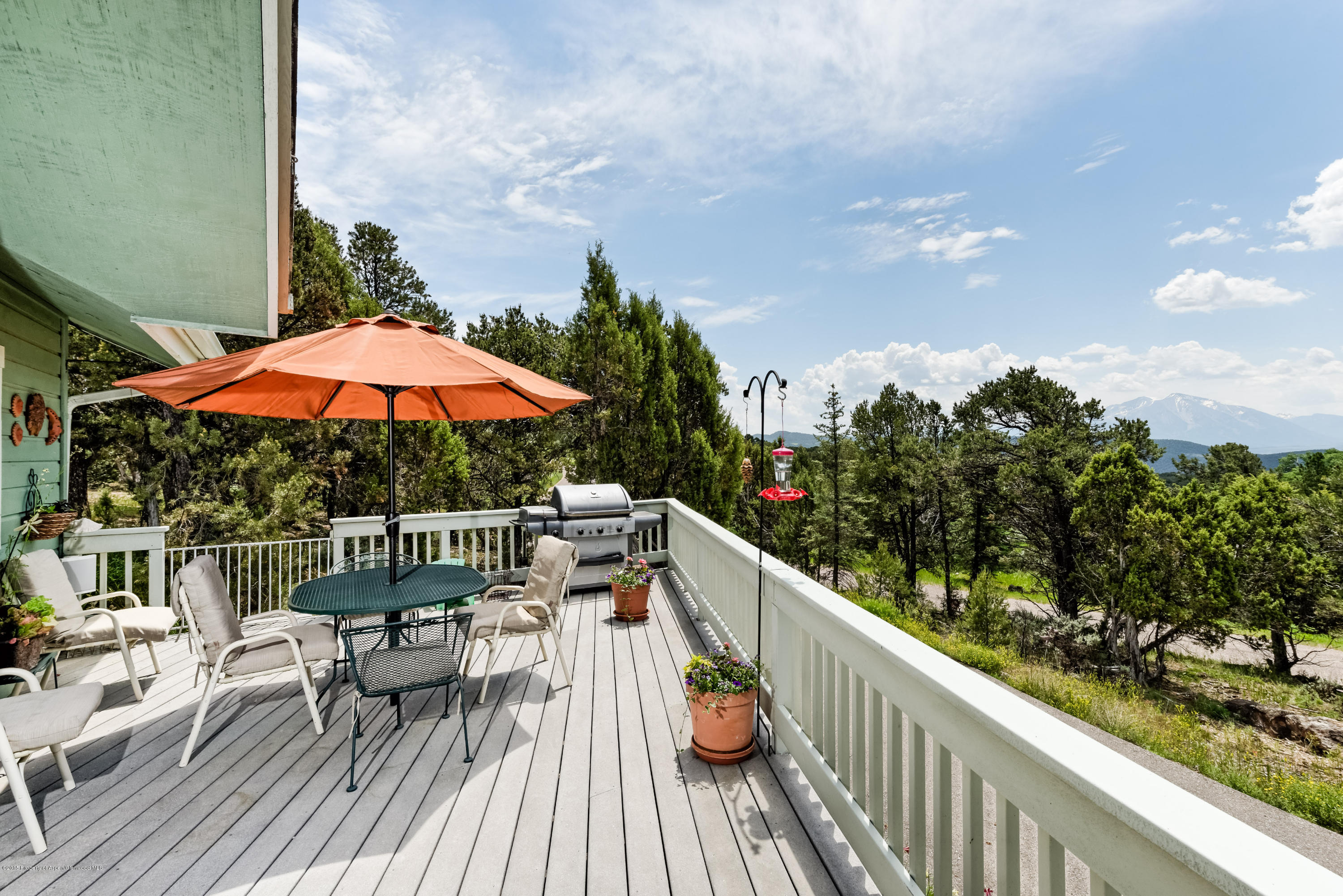 246 Pinon Carbondale CO 81623