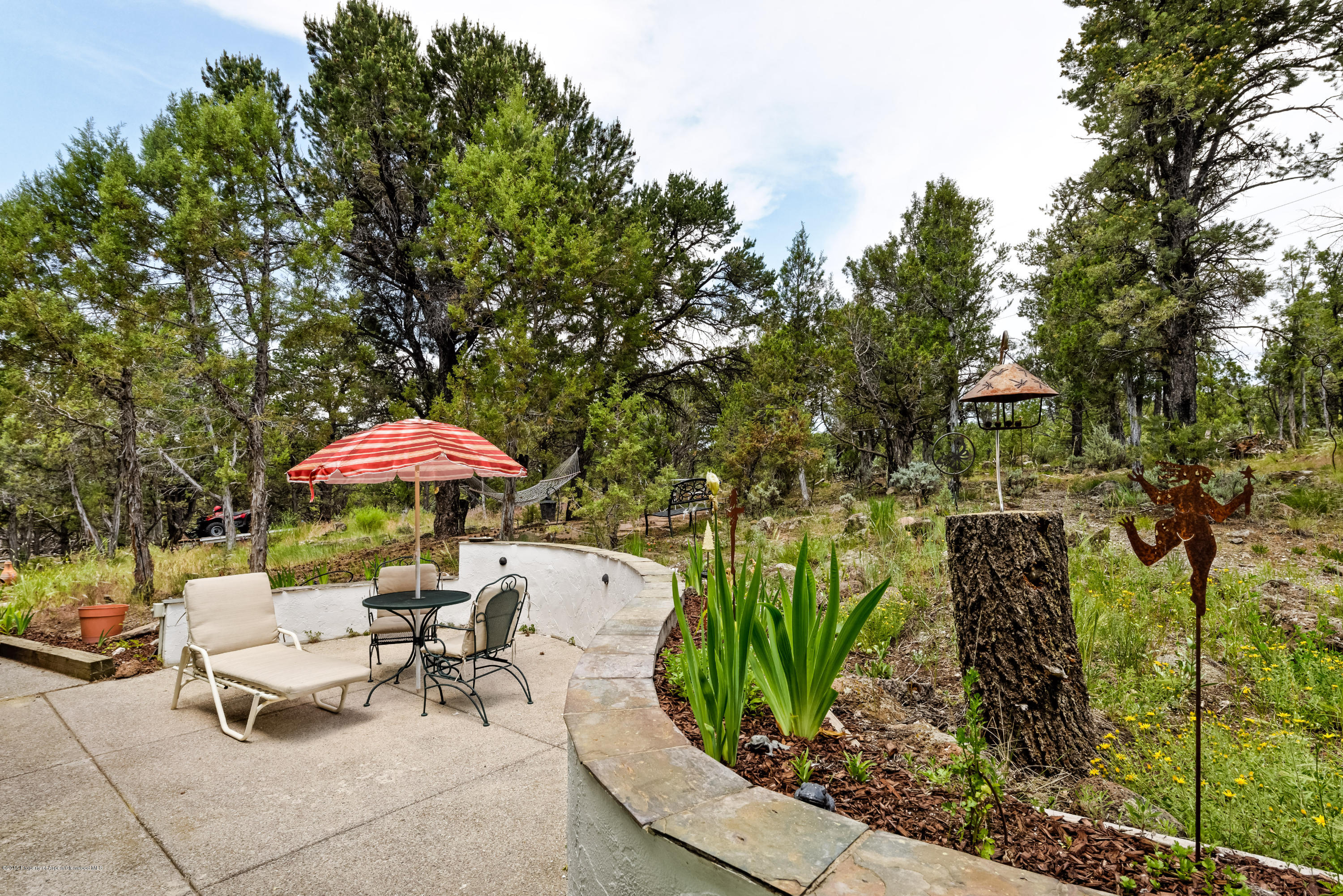 246 Pinon Carbondale CO 81623
