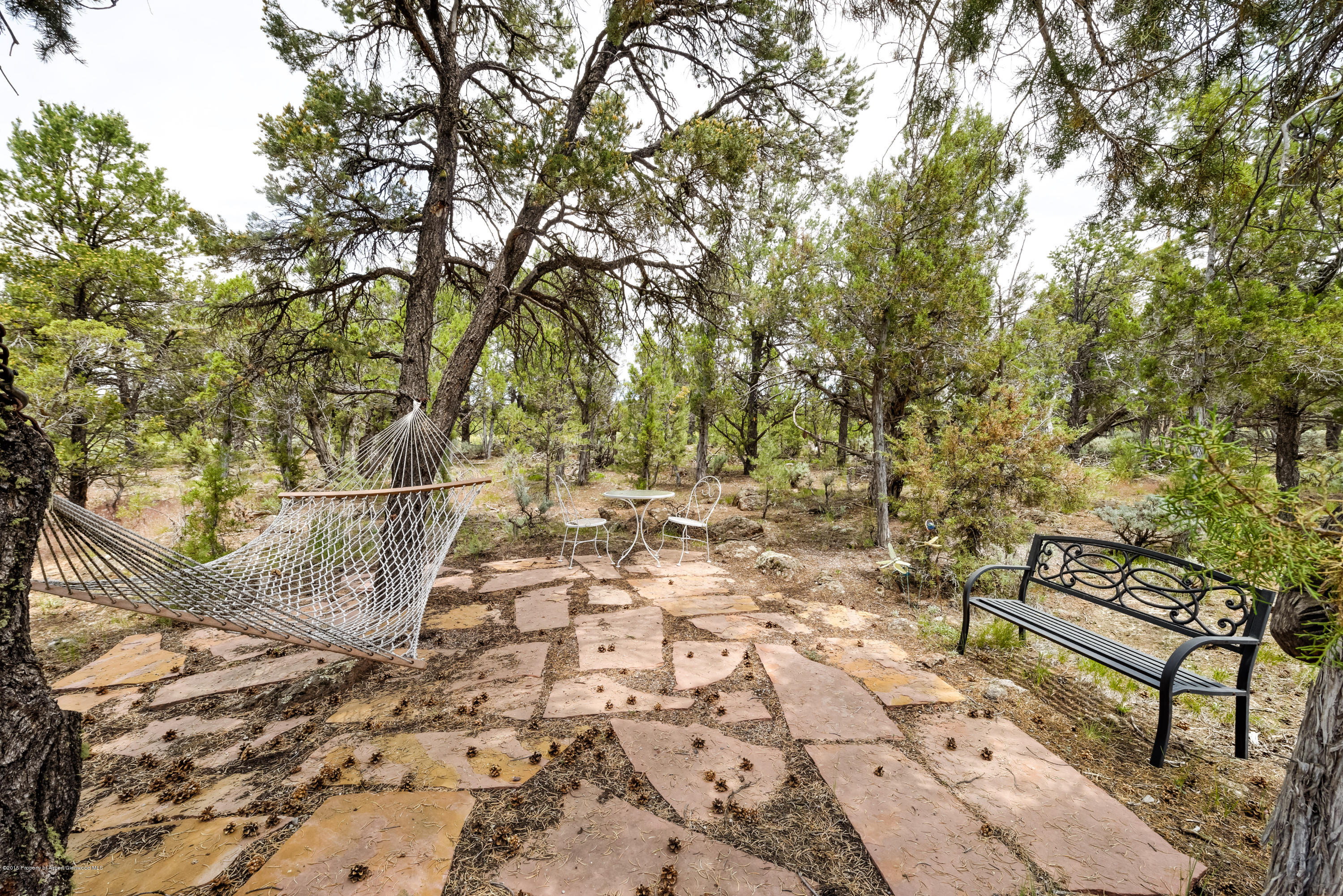 246 Pinon Carbondale CO 81623