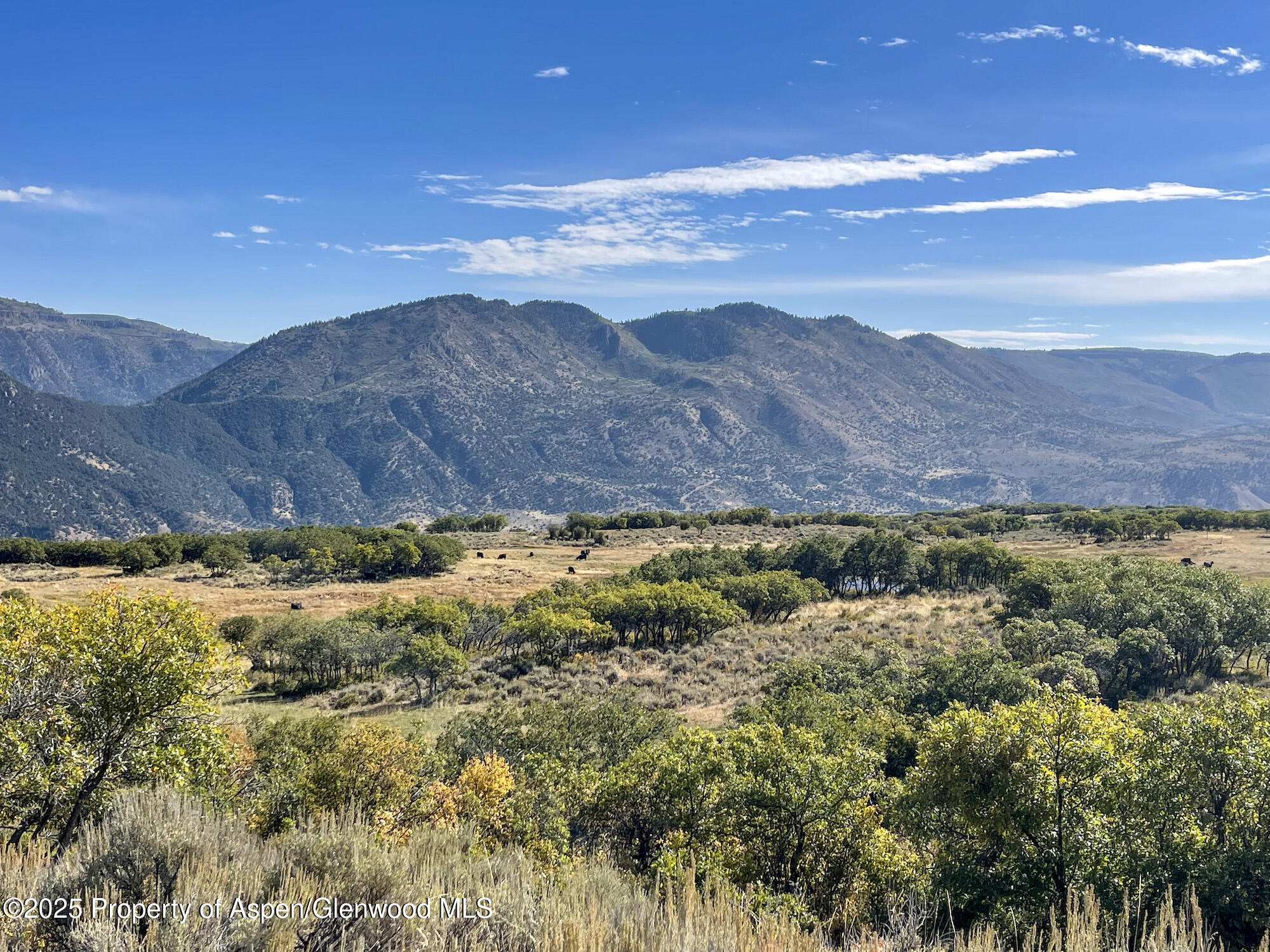 22000 P77 Road Cimarron CO 81220