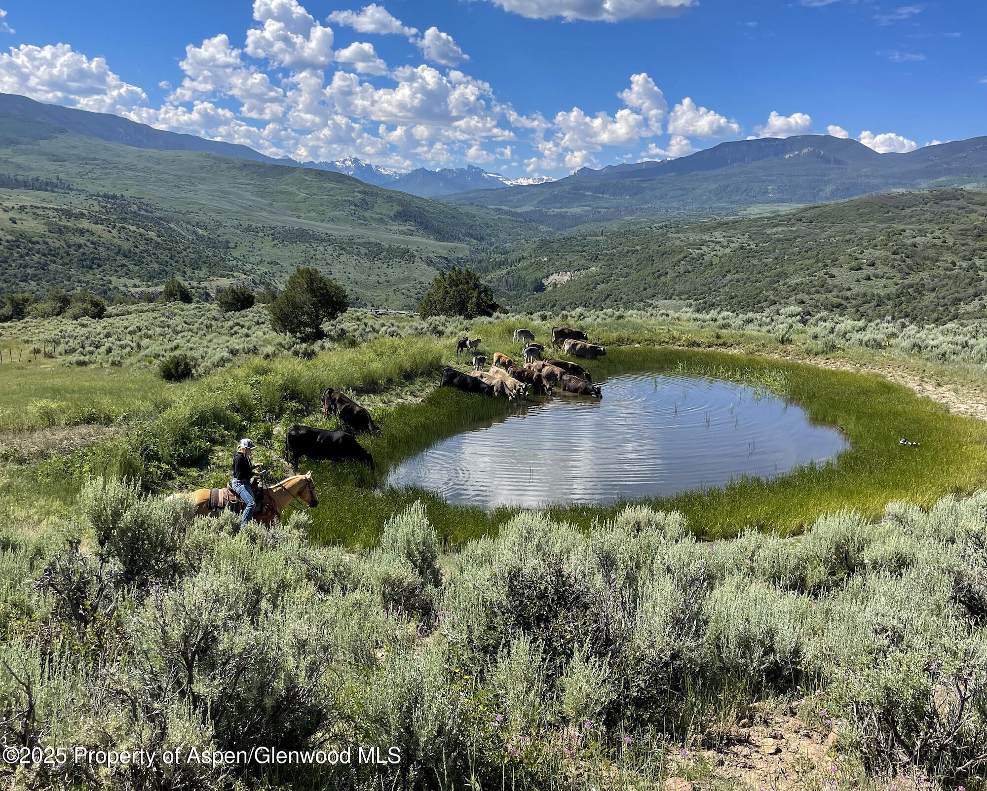 22000 P77 Road Cimarron CO 81220