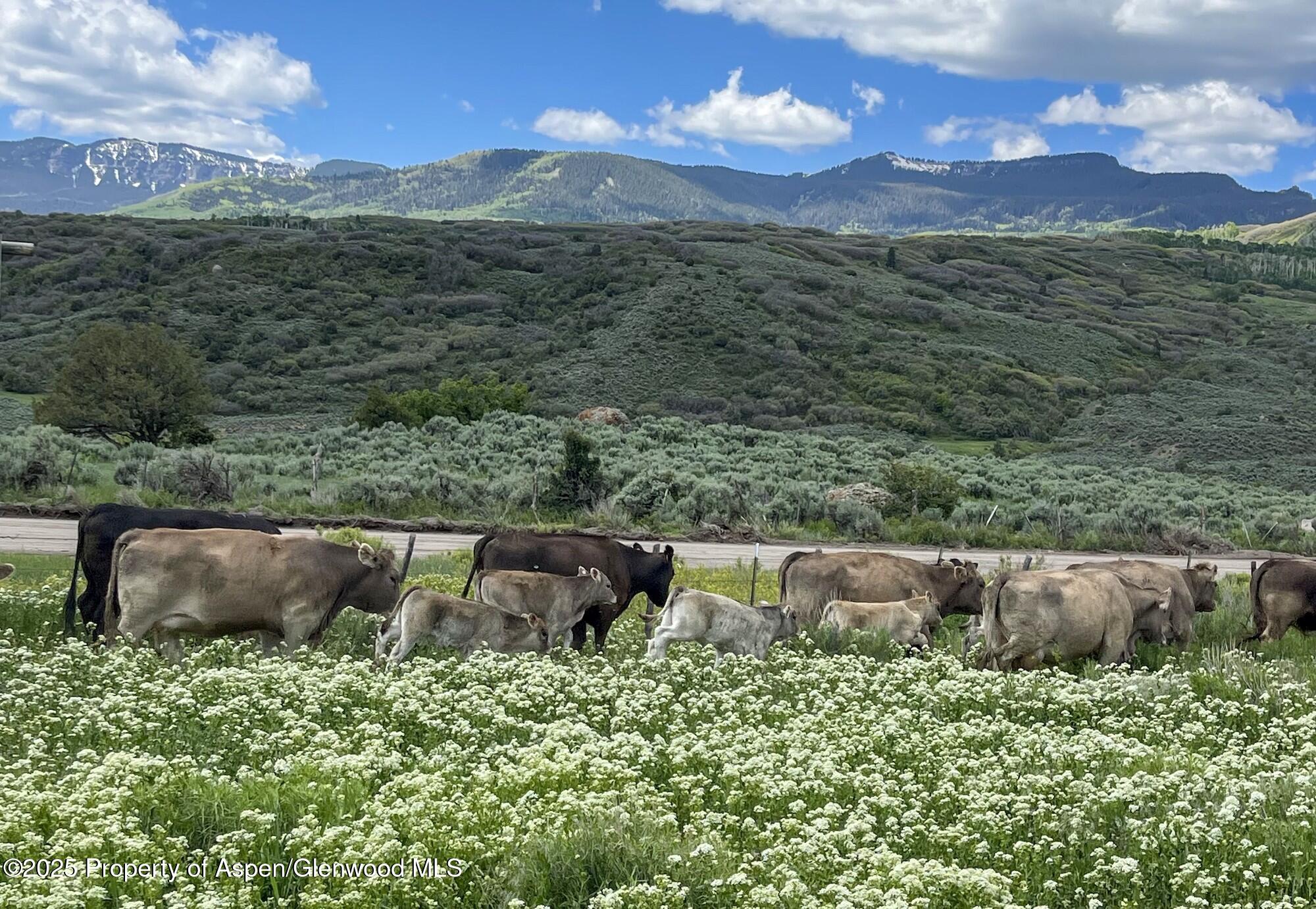 22000 P77 Road Cimarron CO 81220