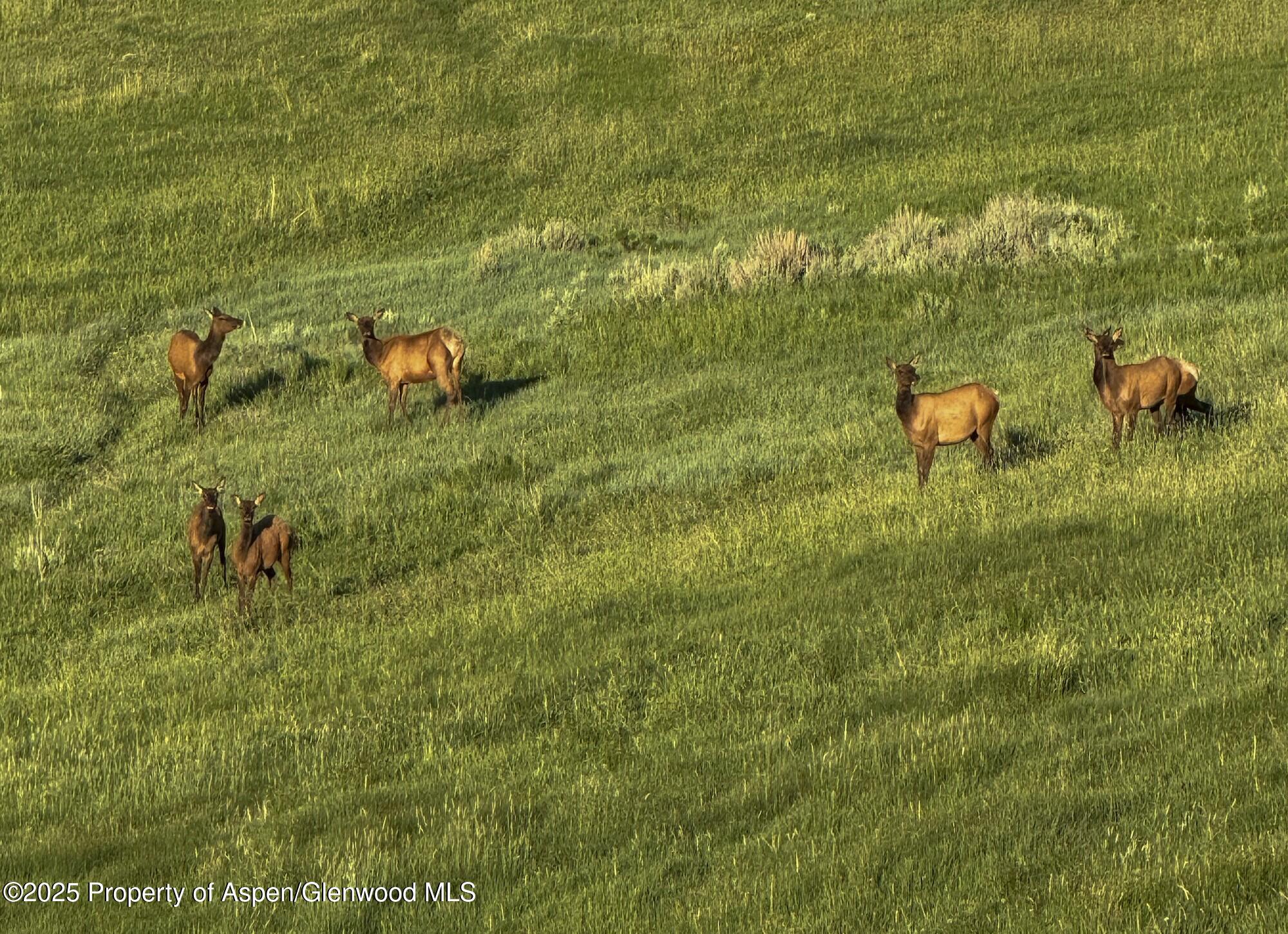 22000 P77 Road Cimarron CO 81220