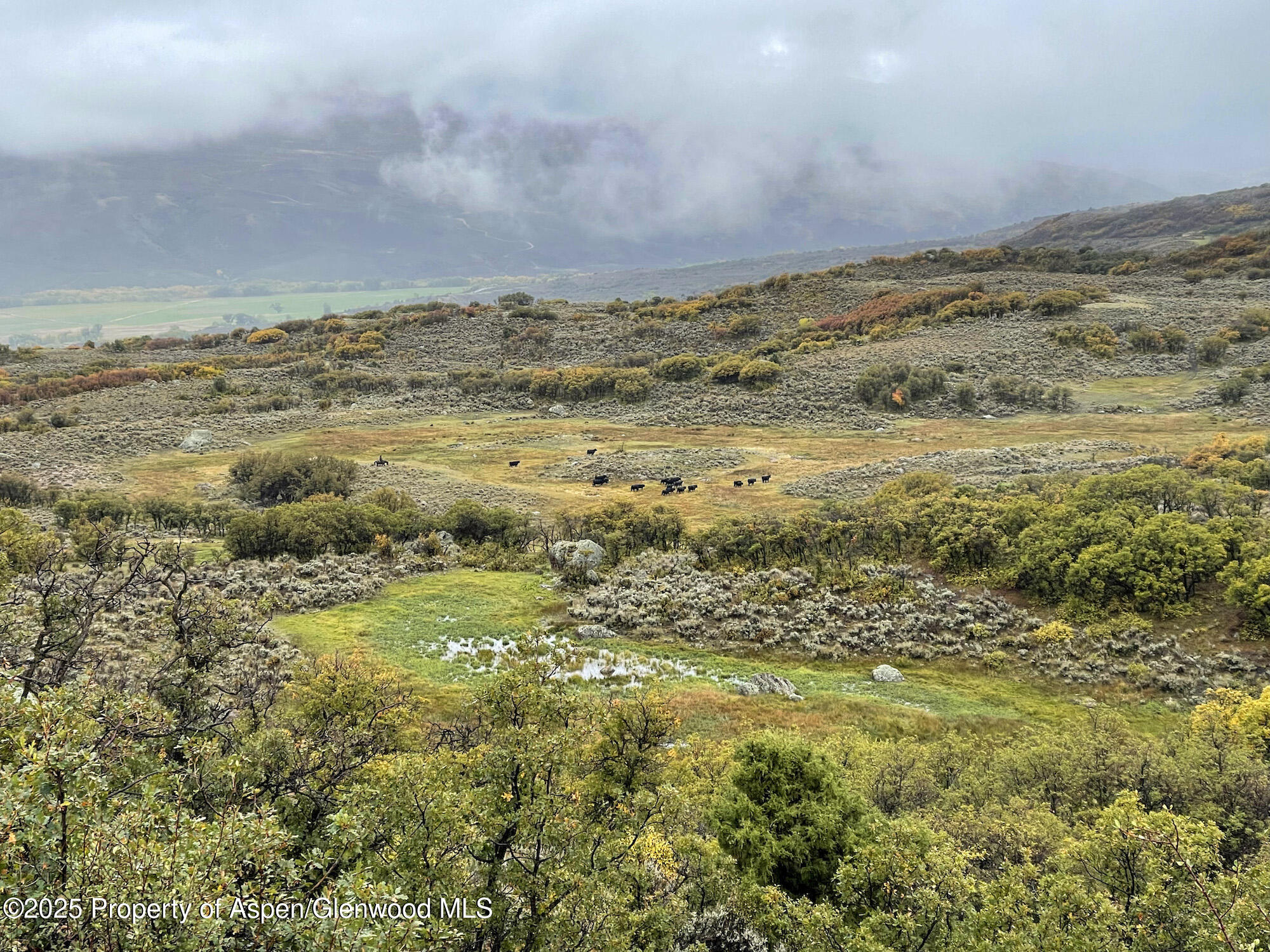 22000 P77 Road Cimarron CO 81220