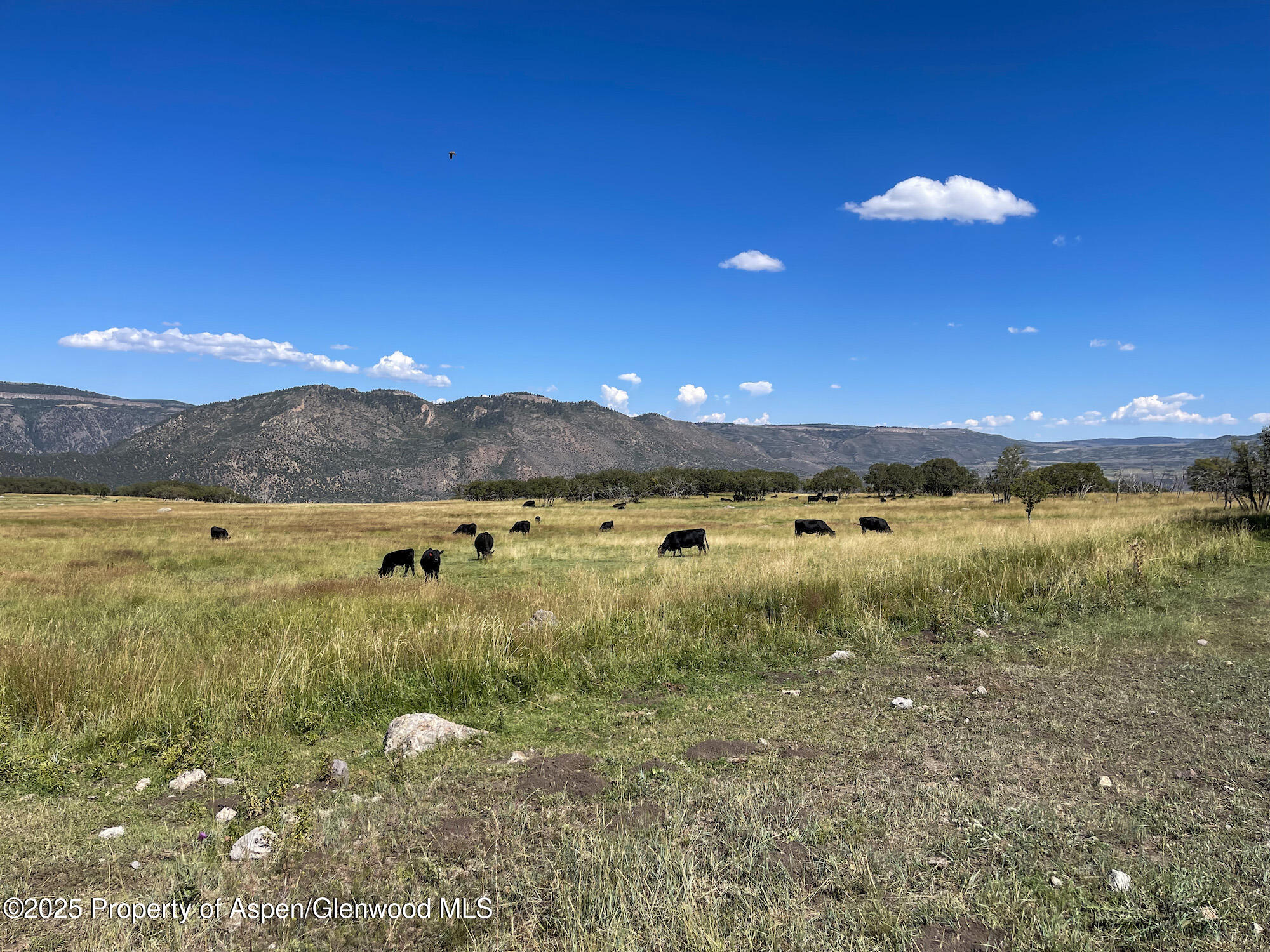 22000 P77 Road Cimarron CO 81220