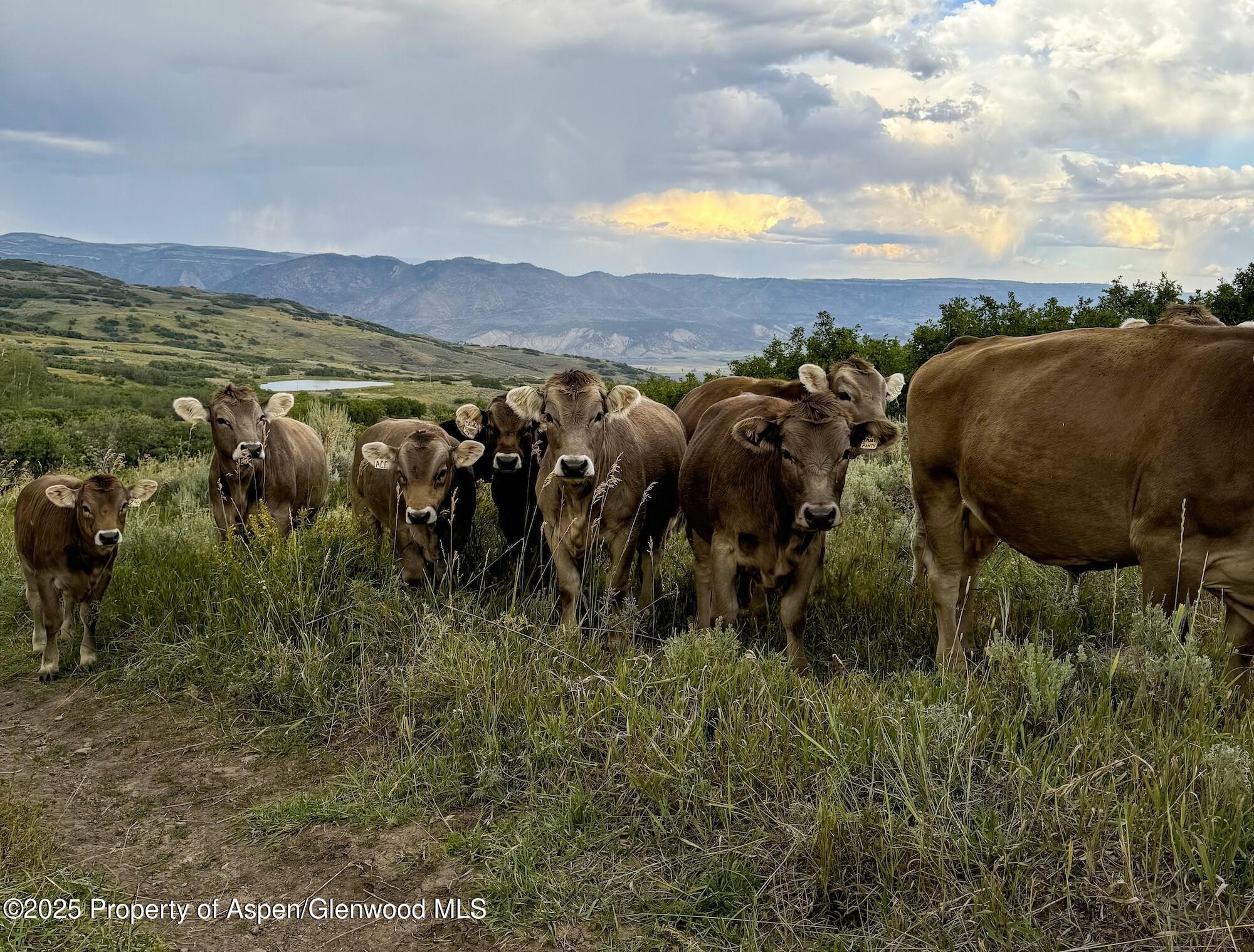 22000 P77 Road Cimarron CO 81220
