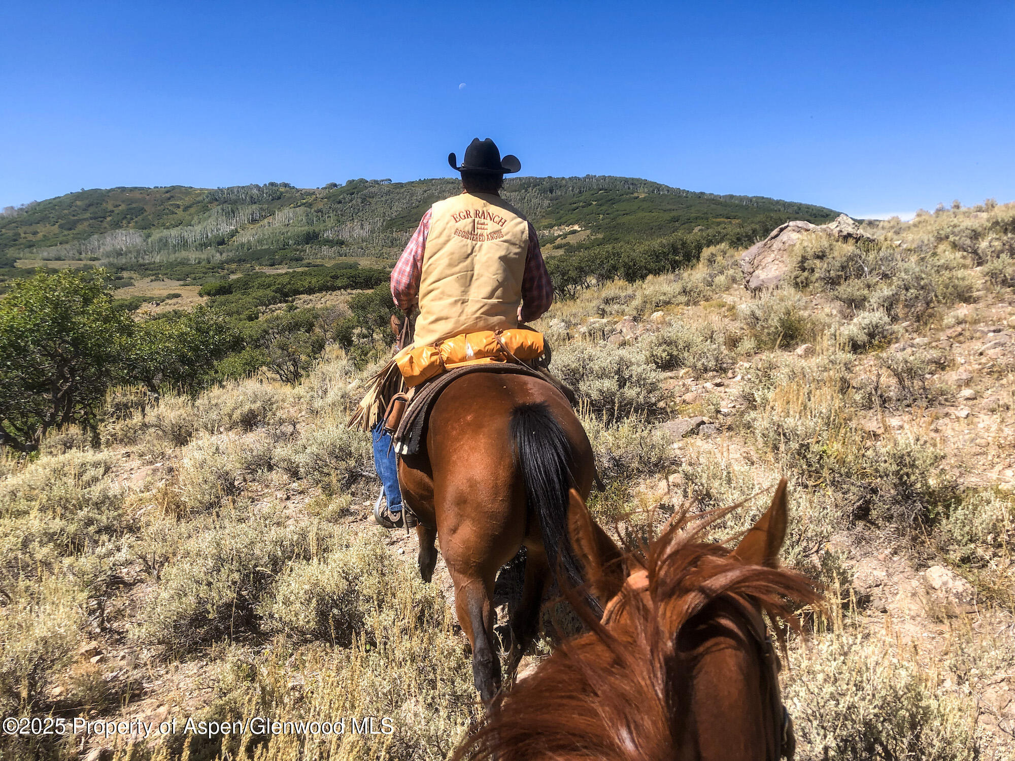 22000 P77 Road Cimarron CO 81220