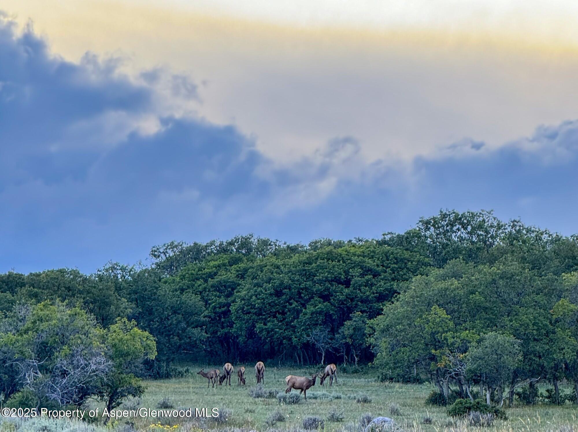 22000 P77 Road Cimarron CO 81220