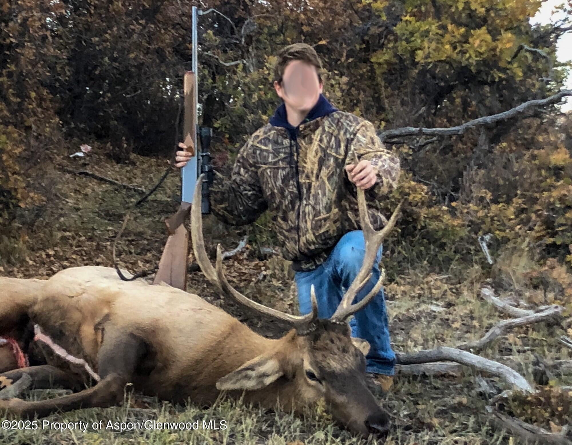 22000 P77 Road Cimarron CO 81220