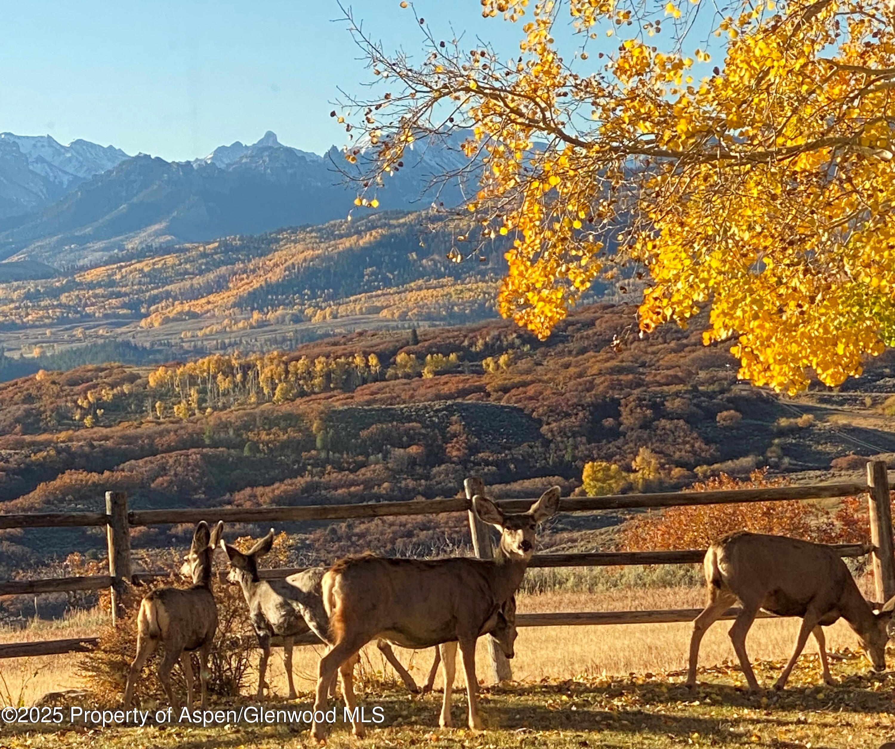 22000 P77 Road Cimarron CO 81220