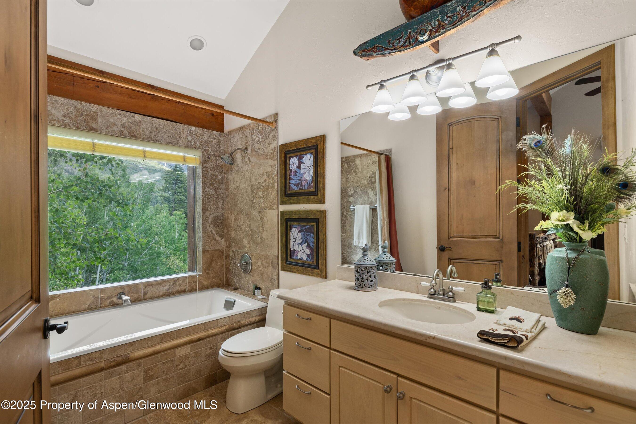 117 Deer Lane Marble CO 81623