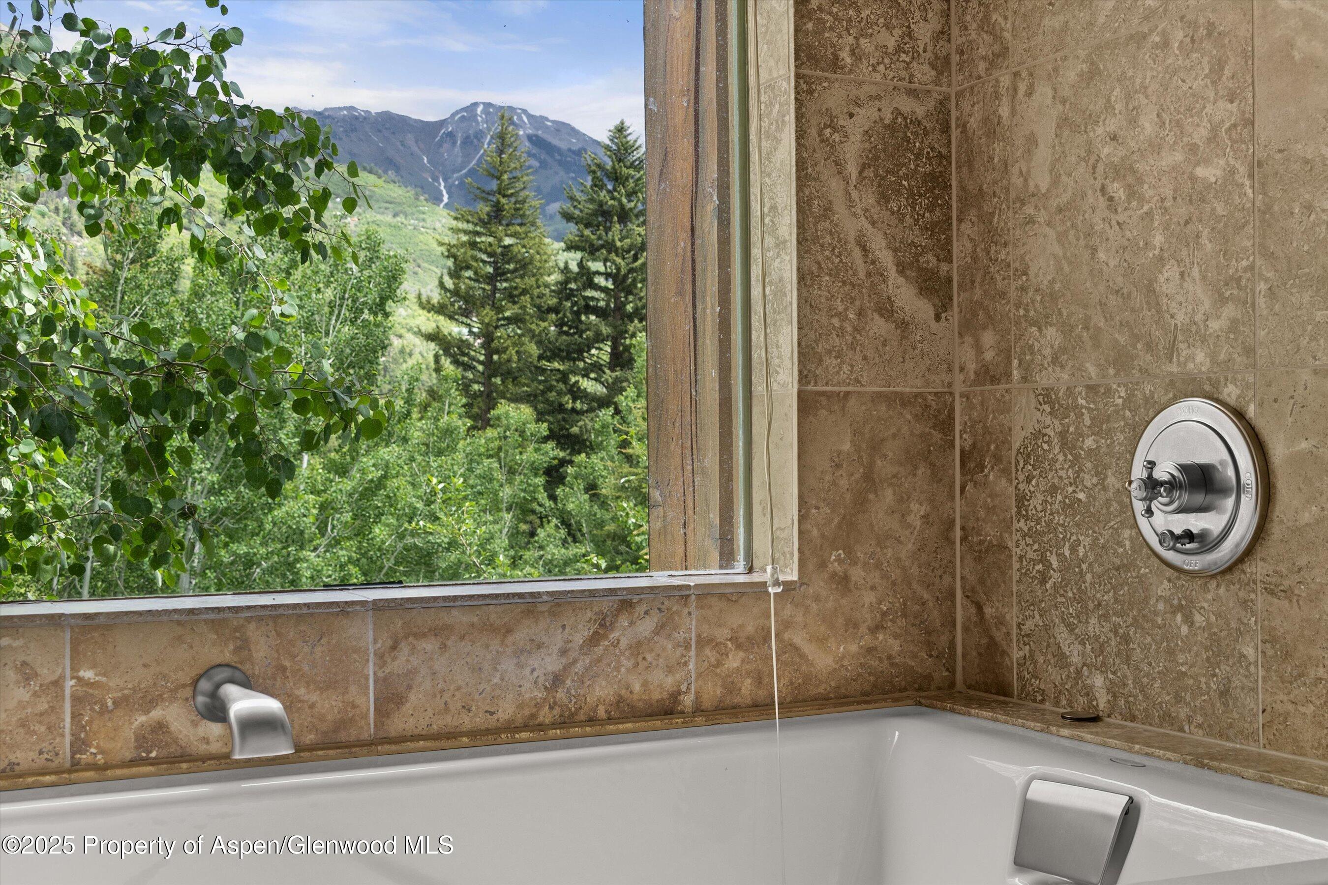 117 Deer Lane Marble CO 81623