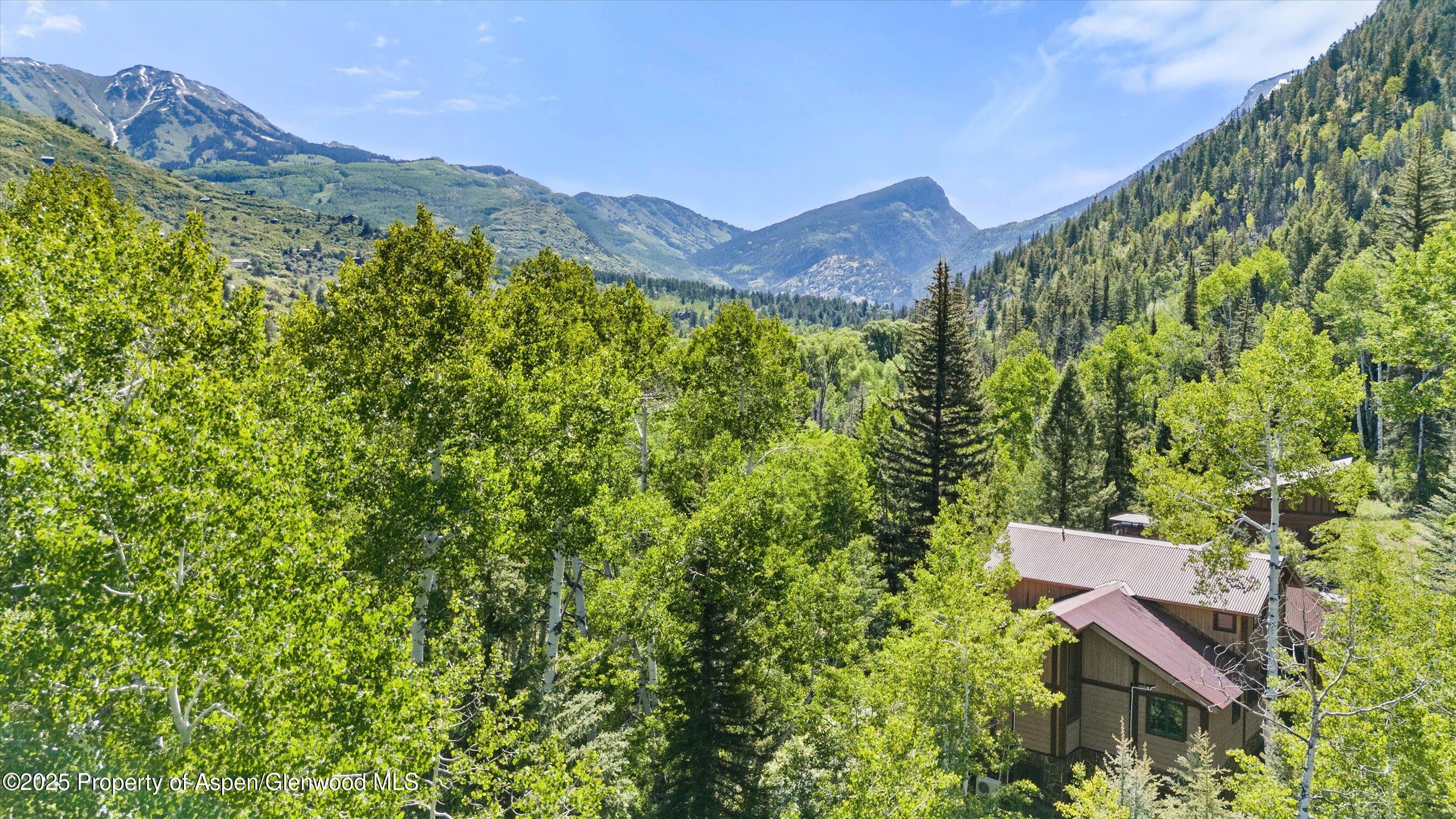 117 Deer Lane Marble CO 81623