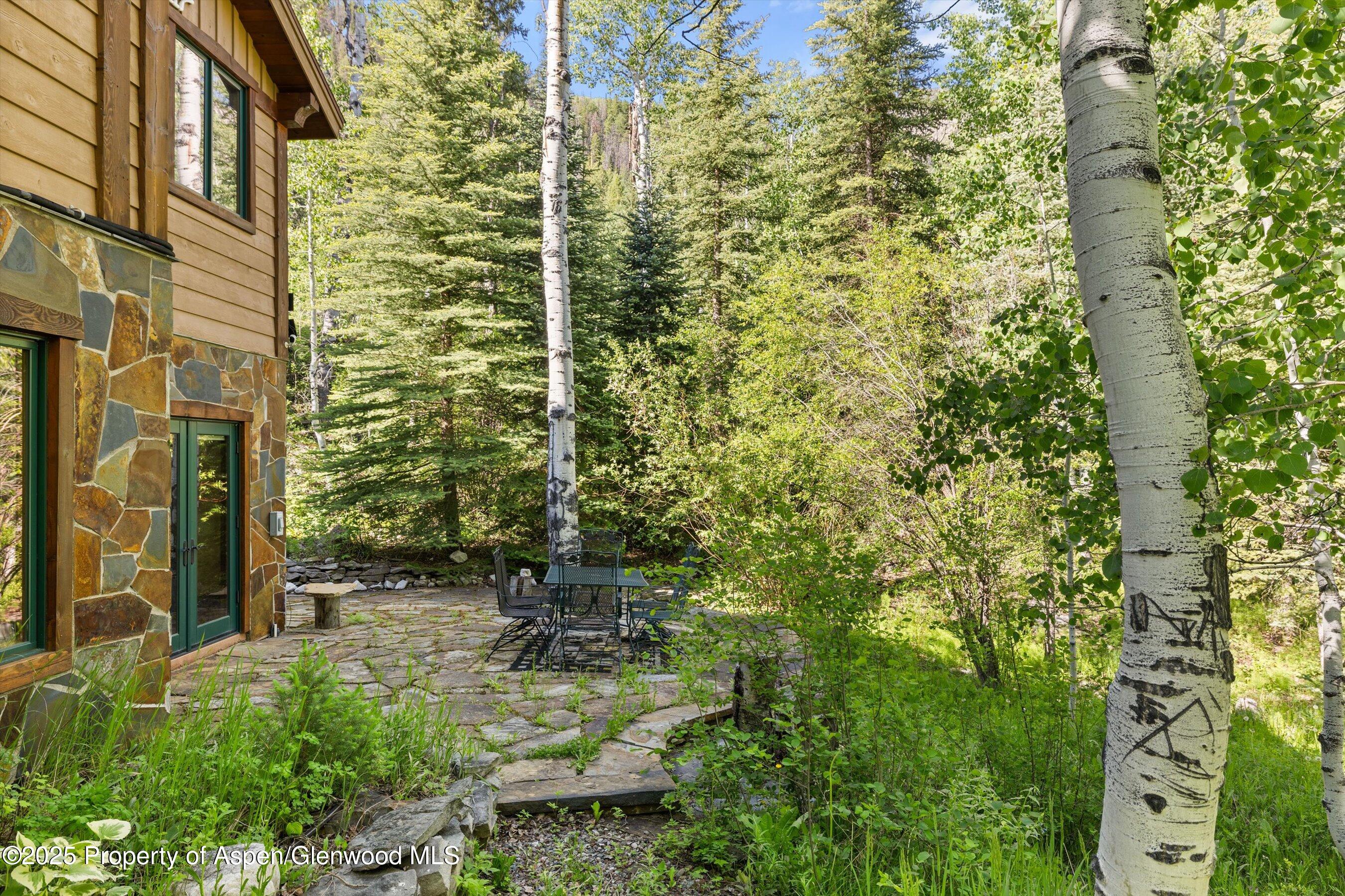 117 Deer Lane Marble CO 81623