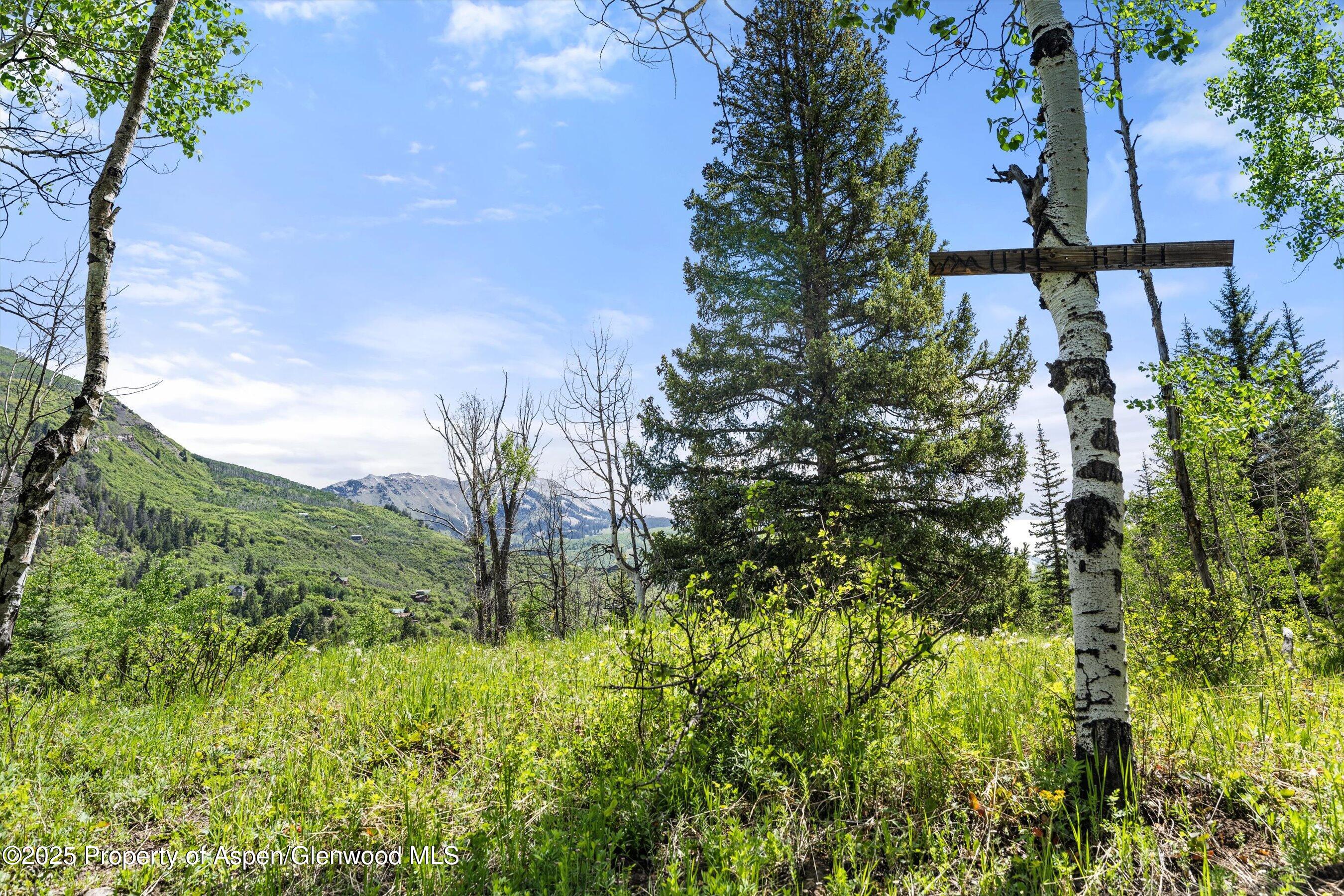 117 Deer Lane Marble CO 81623