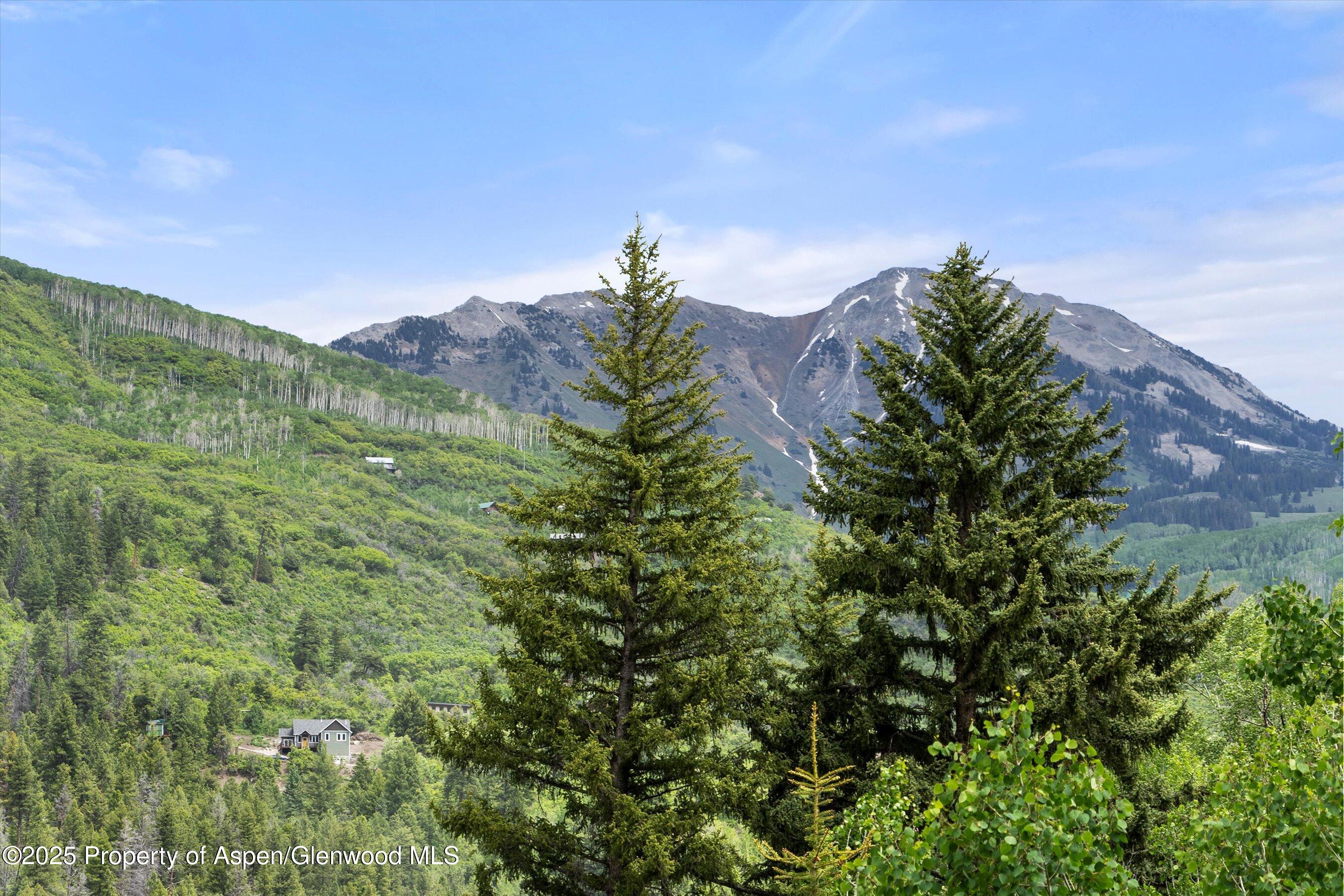 117 Deer Lane Marble CO 81623