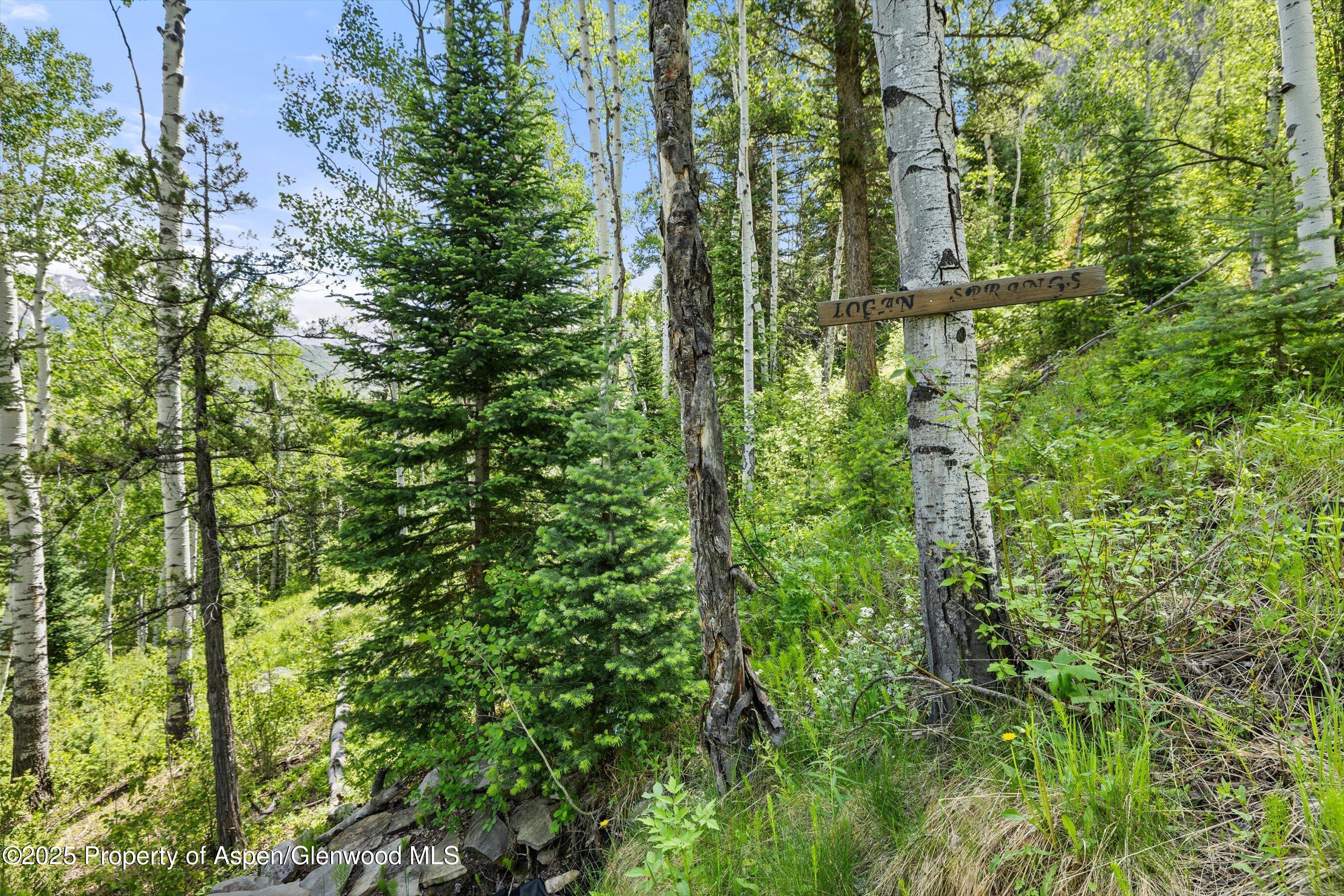 117 Deer Lane Marble CO 81623