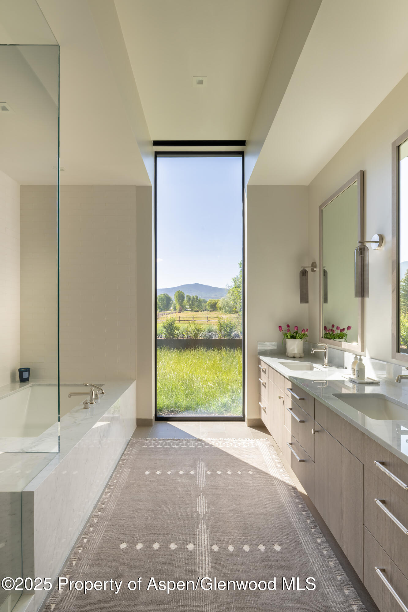 88 Clover Lane Woody Creek CO 81656