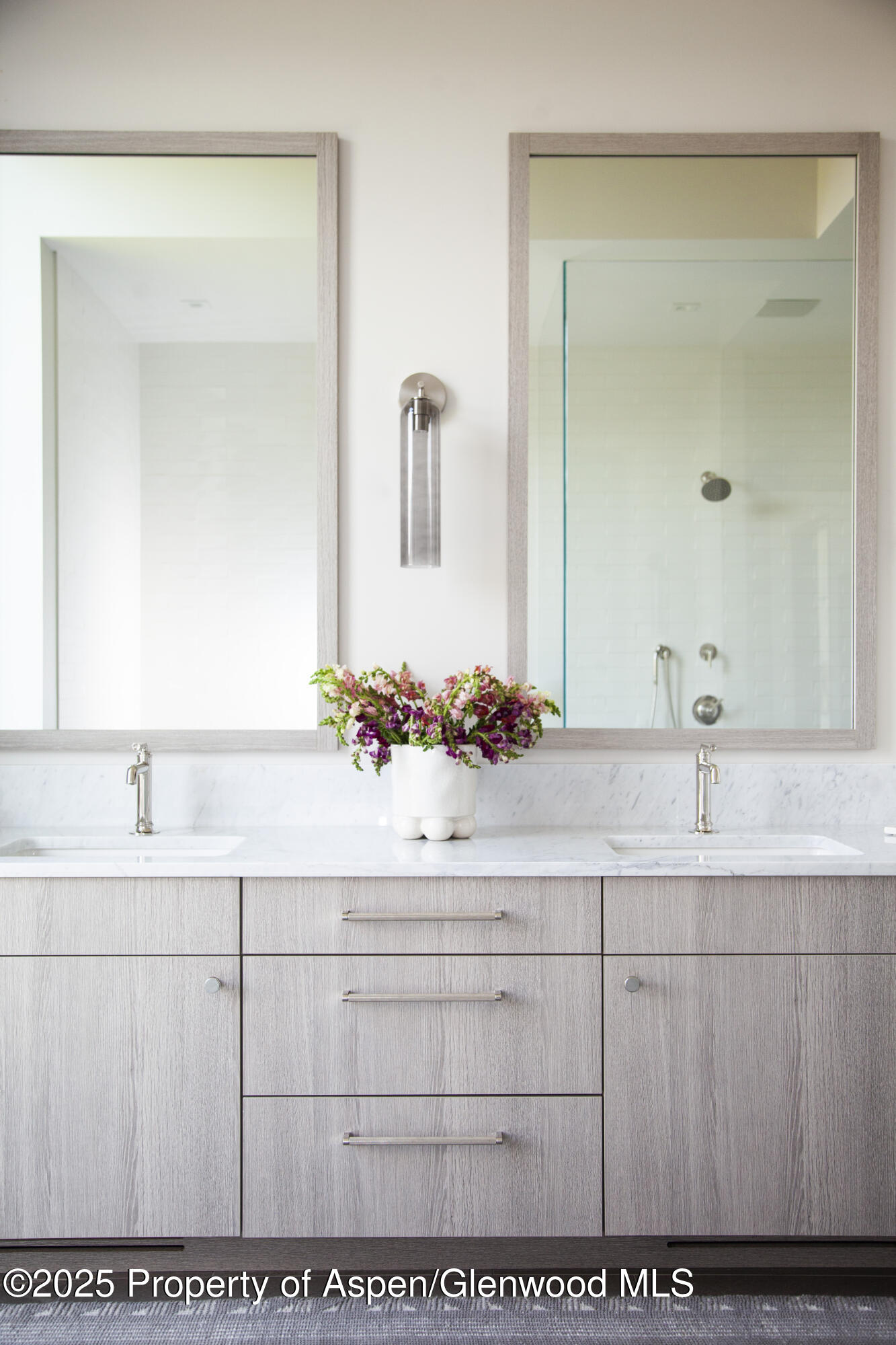 88 Clover Lane Woody Creek CO 81656