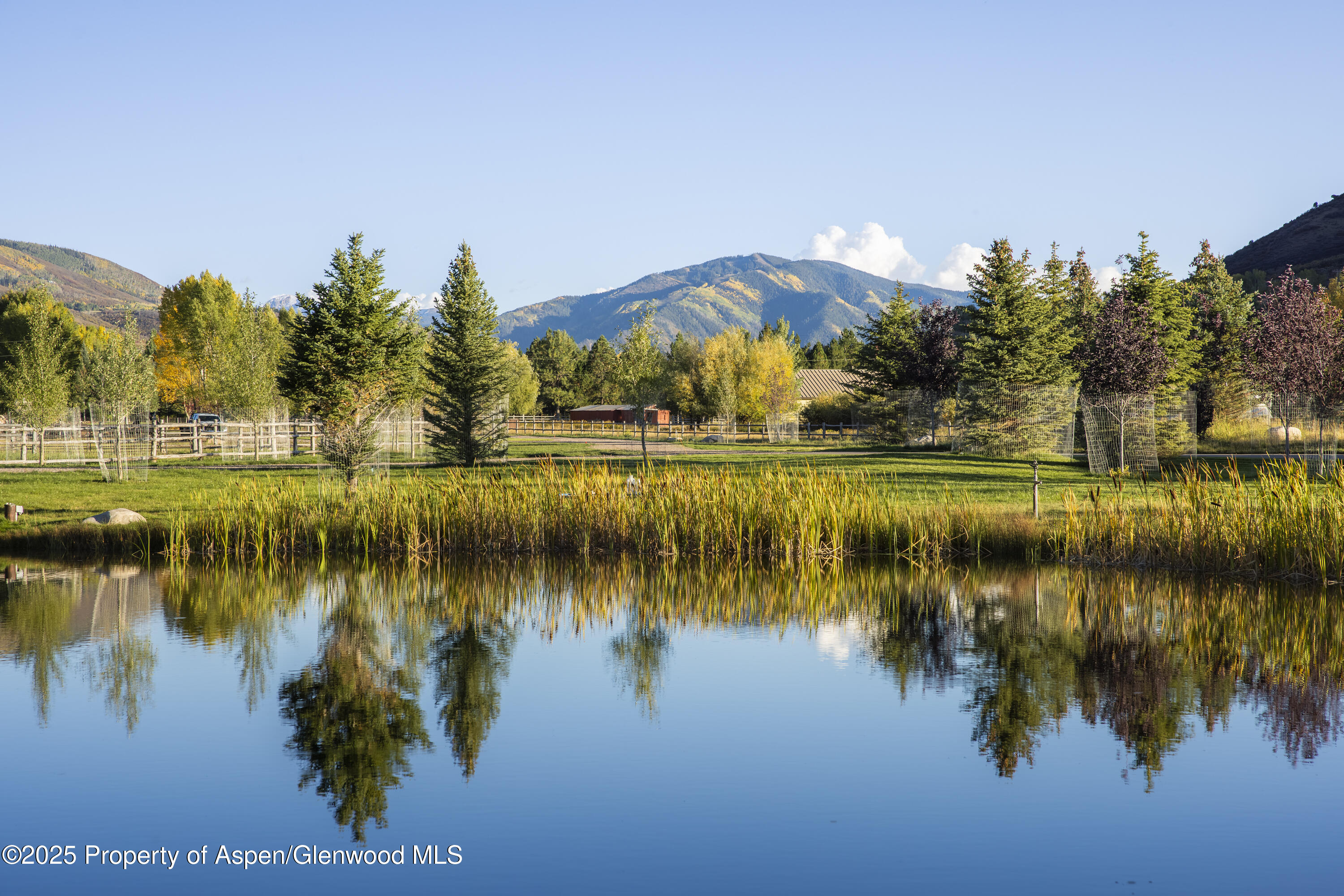 88 Clover Lane Woody Creek CO 81656